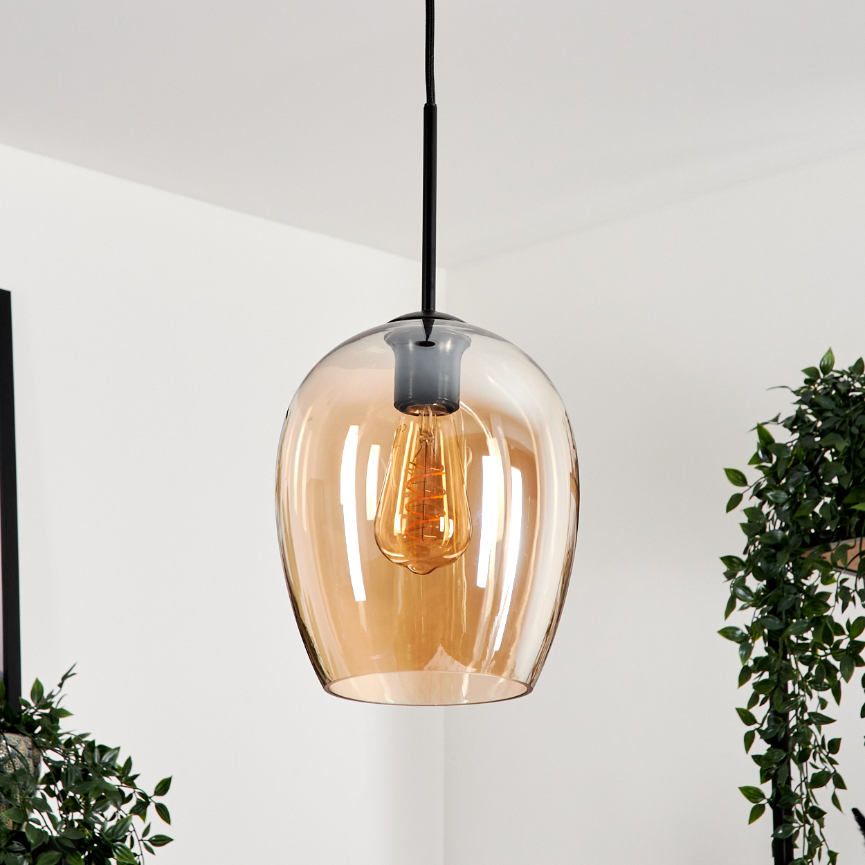 Einzelne bernsteinfarbene Glas-Pendelleuchte mit Edison-Glühbirne vor weißer Wand. Grüne Pflanzen in den Ecken.