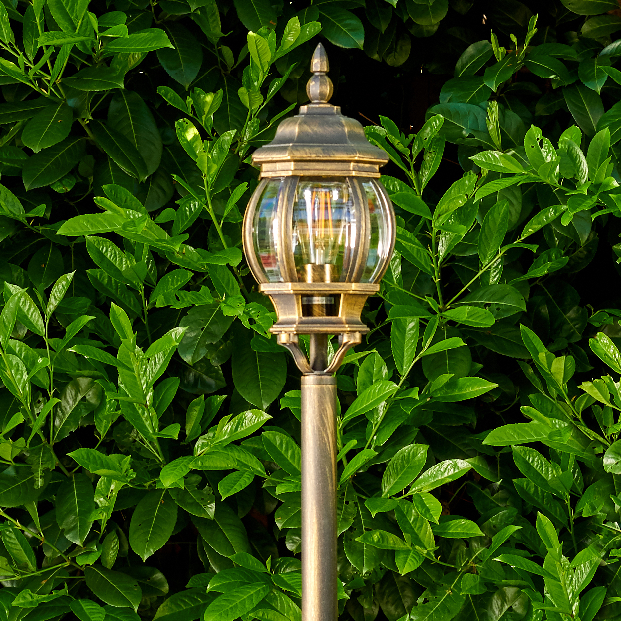 Laternenpfahl im Freien mit goldener Oberfläche, umgeben von leuchtend grünen Blättern.