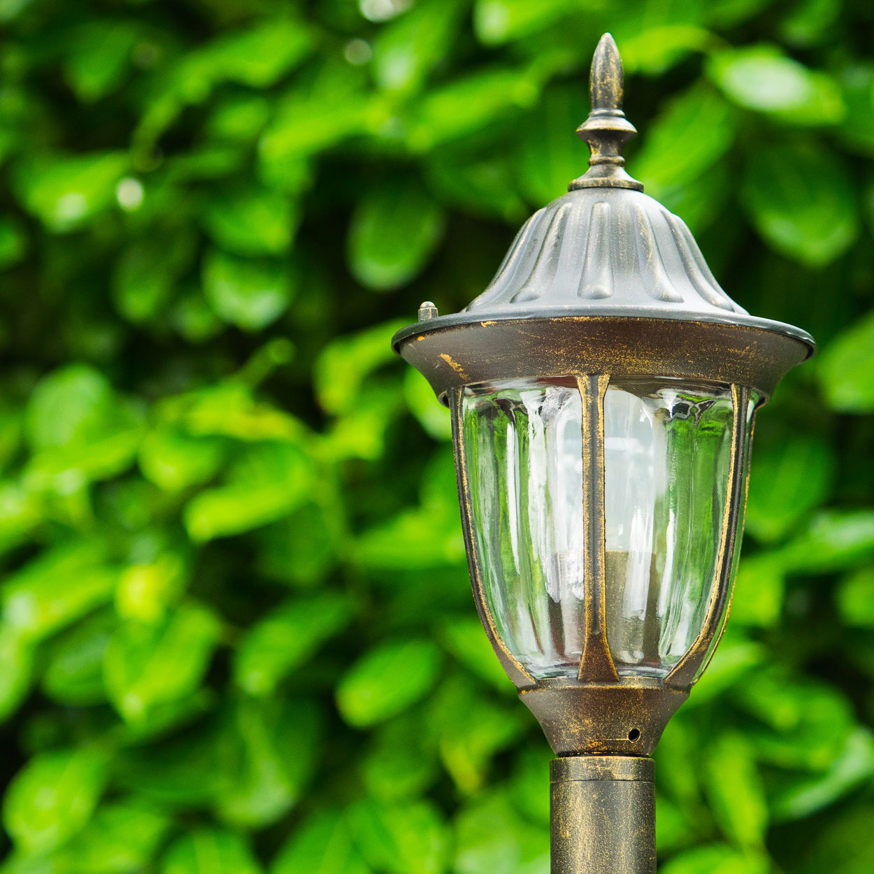 Nahaufnahme einer Außenlampe im Vintage-Stil mit grünem Laub im Hintergrund.
