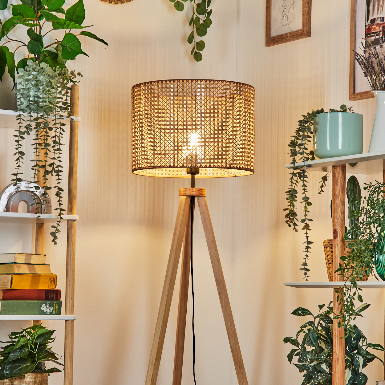 Stehlampe mit gewebtem Lampenschirm. Holz-Dreibein-Basis. Pflanzen und Regale drumherum.
