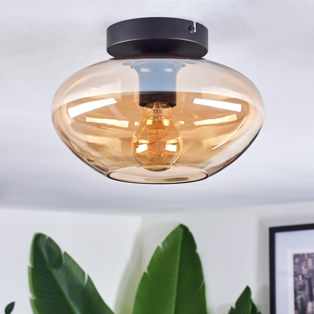 Deckenlampe mit bernsteinfarbenem Glasschirm und freiliegender Glühbirne. Schwarzer Sockel. Weiße Decke, grüne Pflanzen im Hintergrund.