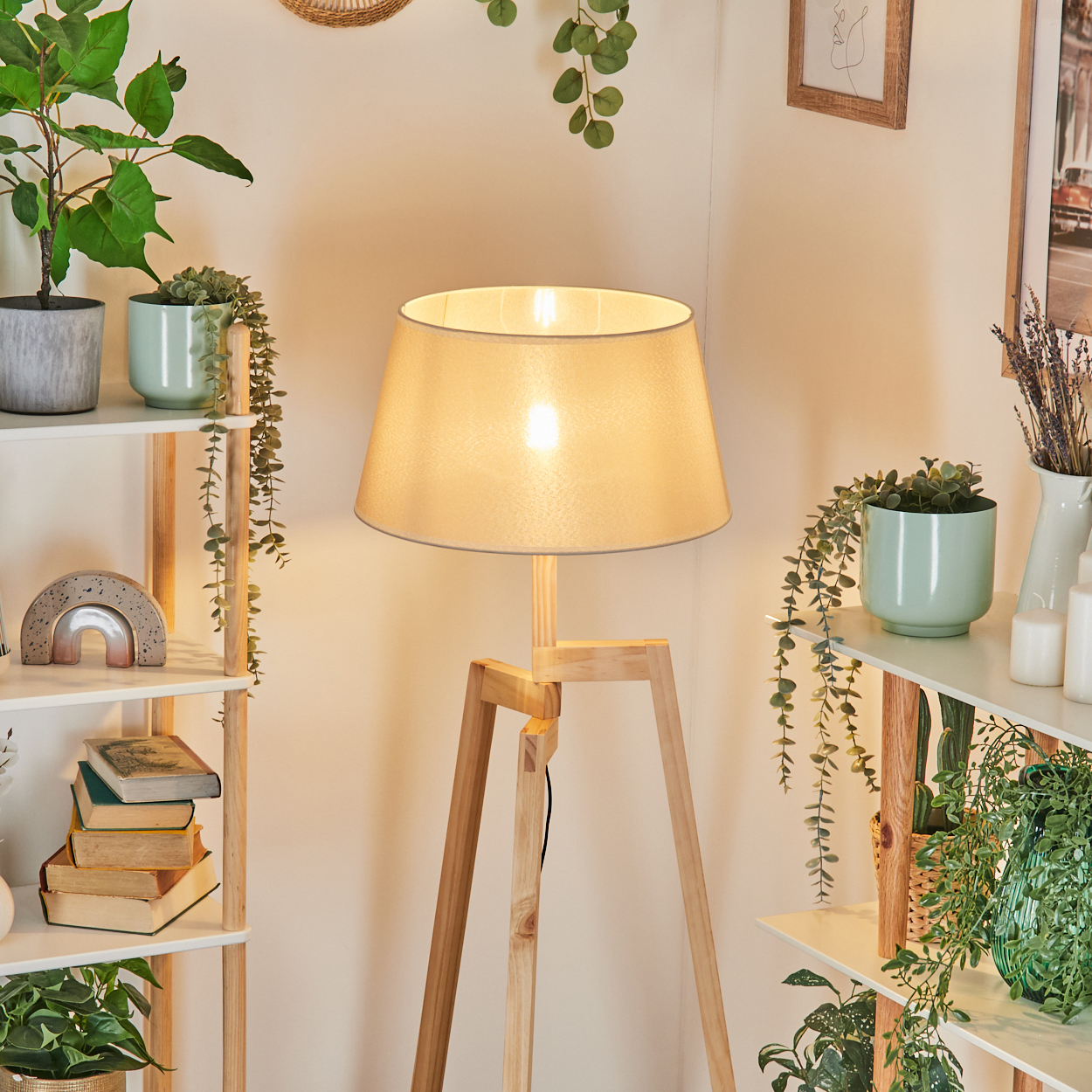 Eine beleuchtete hölzerne Stativlampe in einem Raum mit Regalen, Pflanzen und Dekor. Das Licht ist weich.