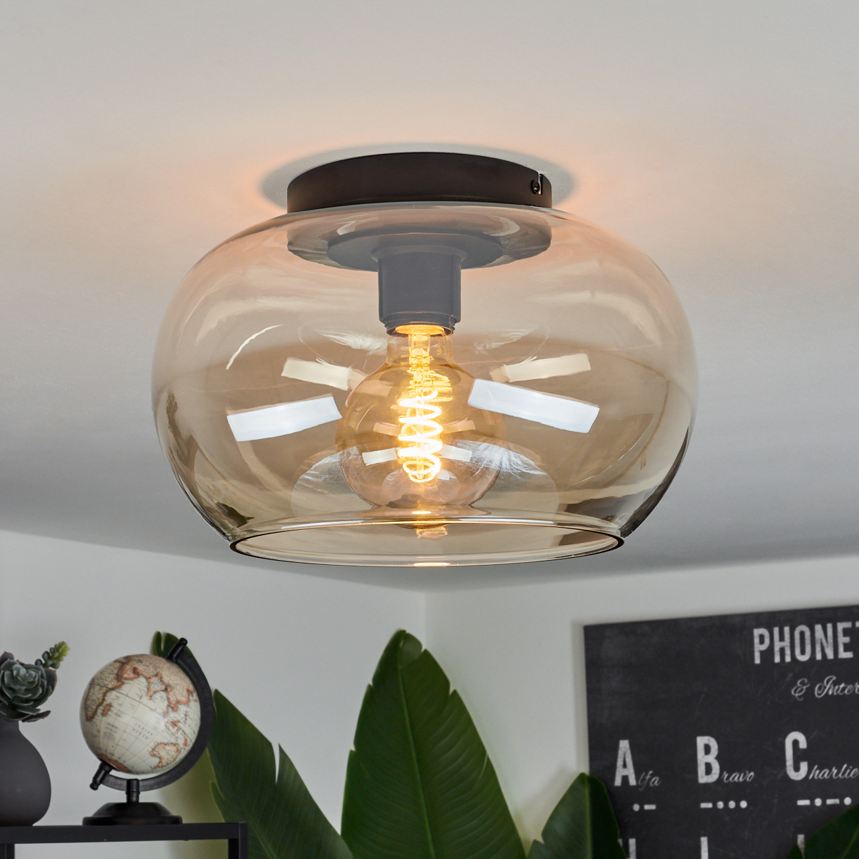 Eine Deckenlampe mit Glasschirm. Ein Globus, Pflanzen und eine Tafel sind im Hintergrund.
