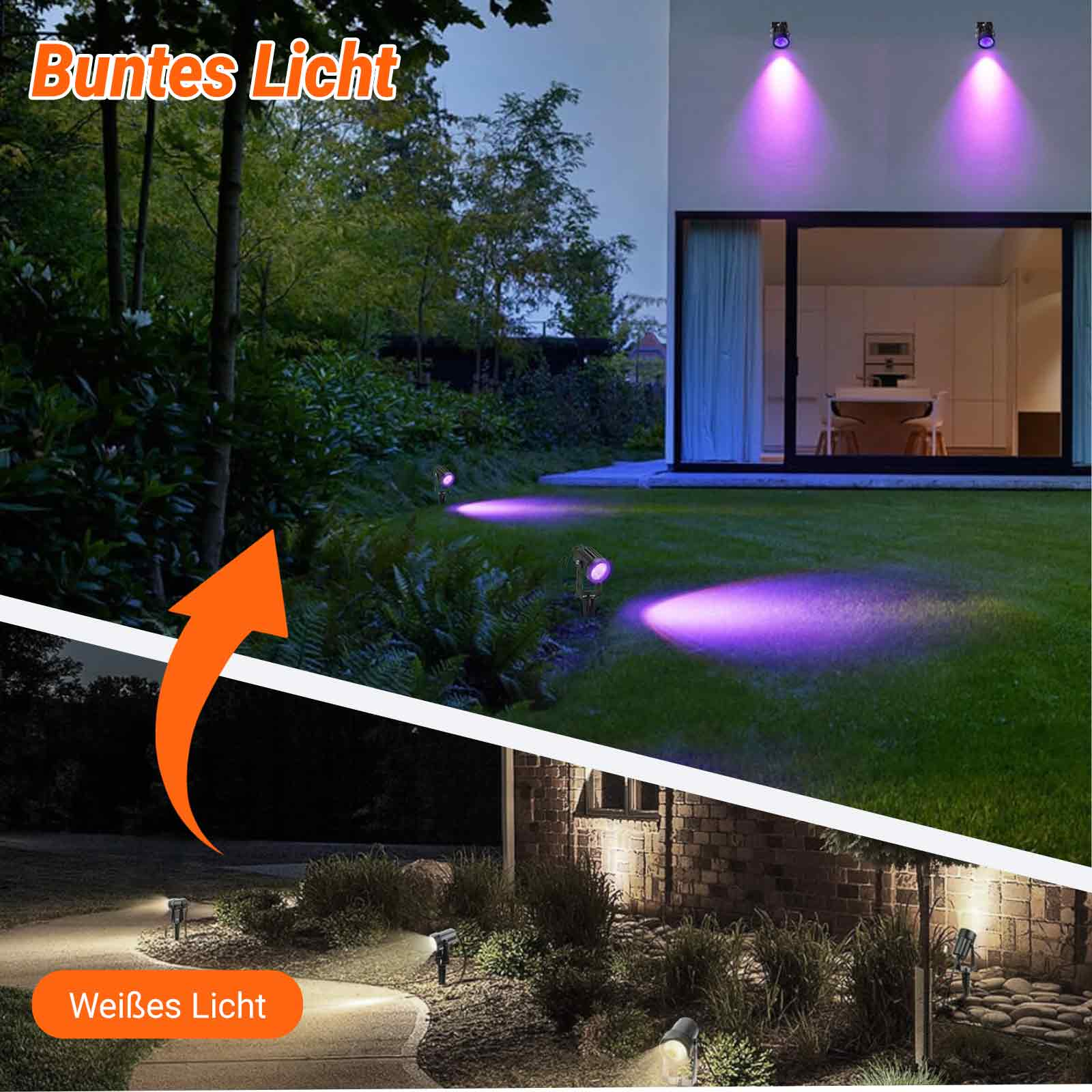 Außenansicht eines Hauses mit lila und weißen Lichtern, die auf Rasen und Bäumen scheinen.