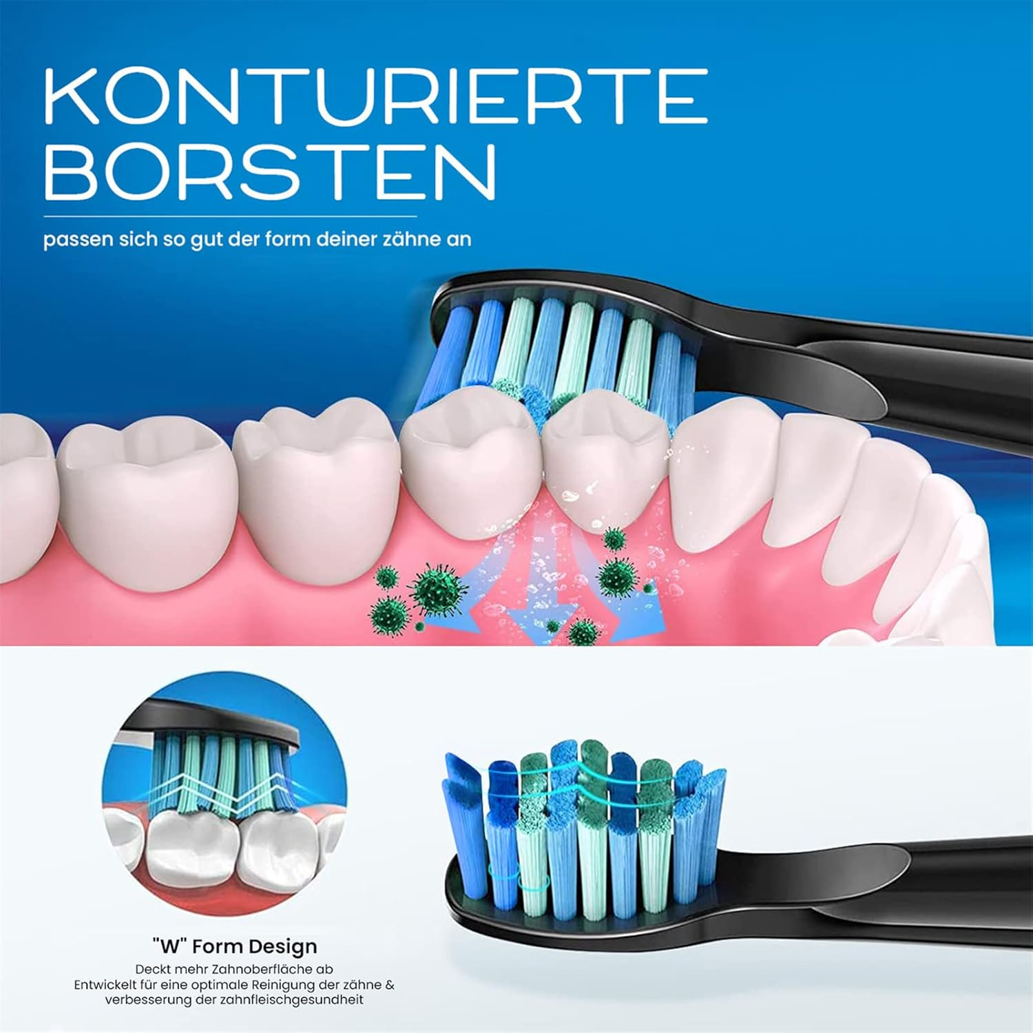 Zahnbürstenkopf, der Zähne putzt, zeigt ein Diagramm der Borsten, die sich der Zahnform anpassen.