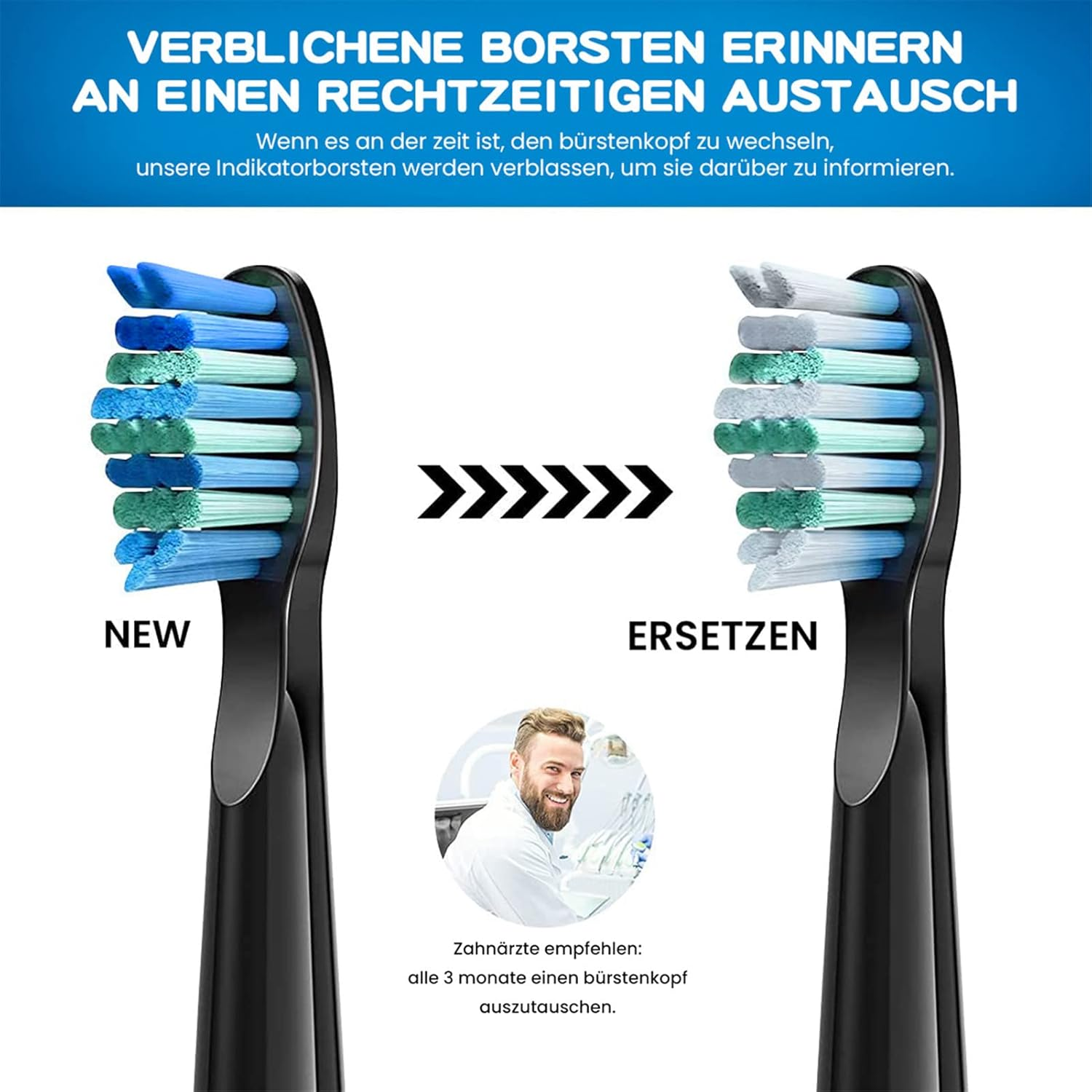 Vergleich von neuen und alten Zahnbürstenköpfen, der veranschaulicht, wann die Bürste ausgetauscht werden muss.