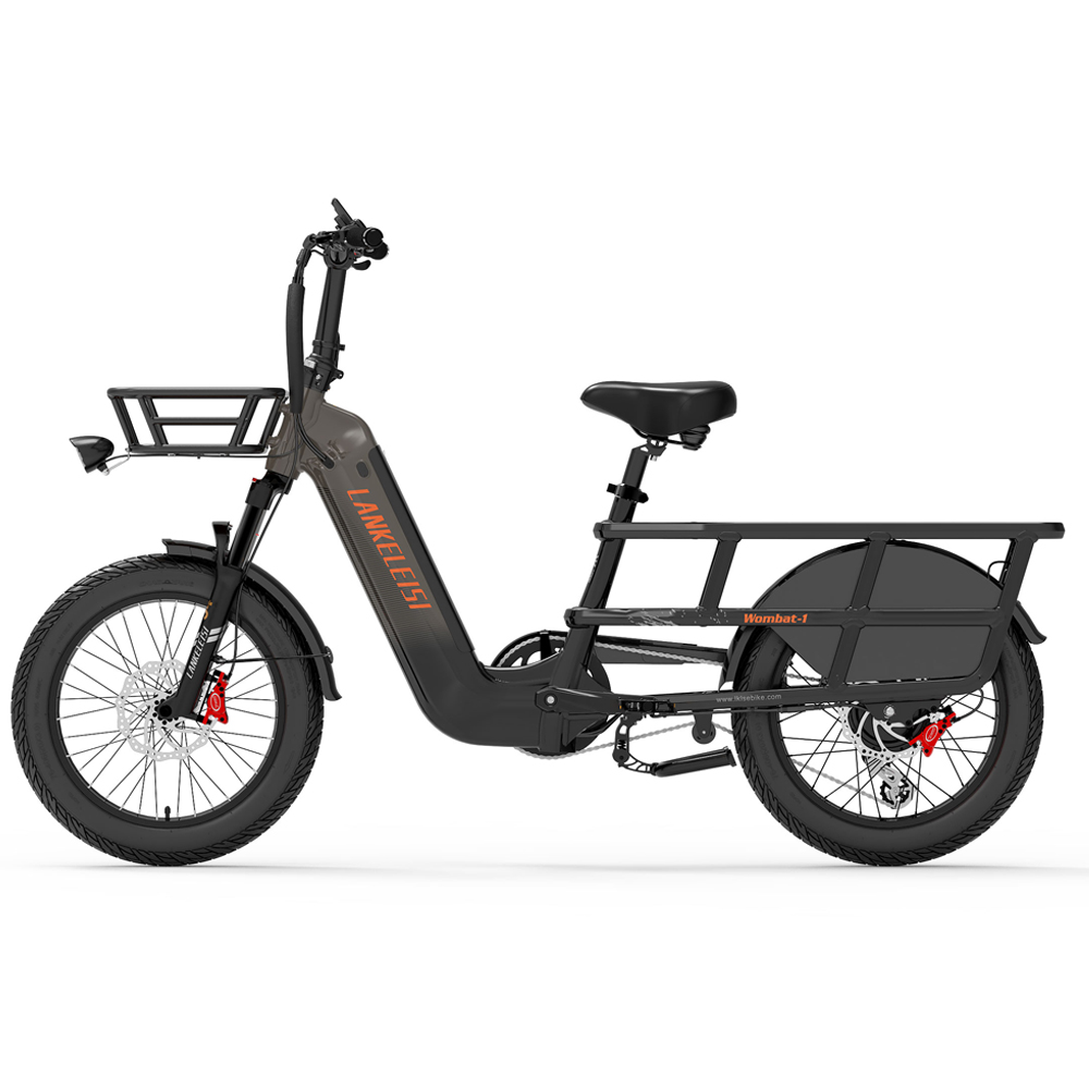 Schwarz-graues Elektrofahrrad von der Seite, mit Korb und Gepäckträger, vor weißem Hintergrund.