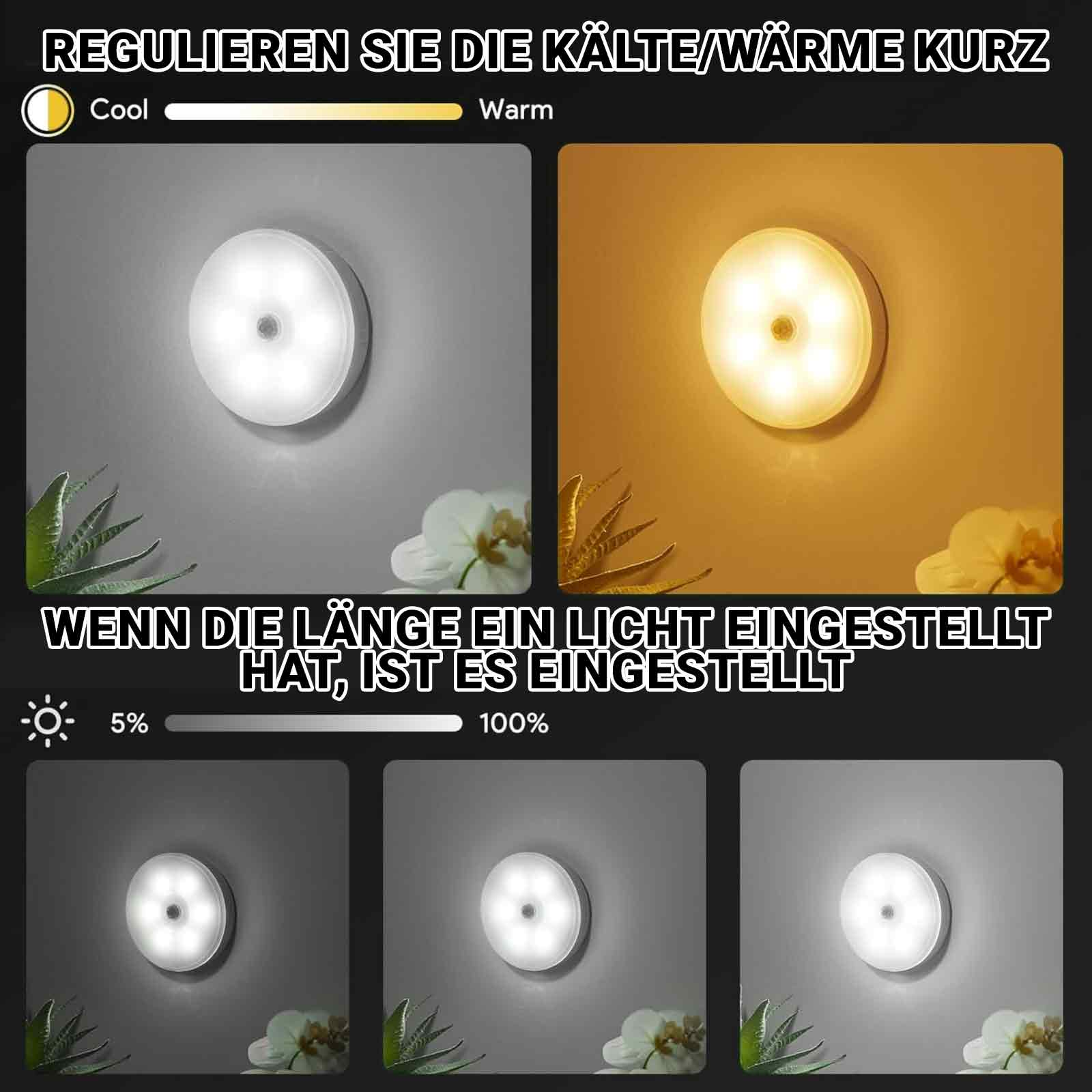 Zwei Lichter, die kalte und warme Modi anzeigen. Oben sind die Modi mit Blumen zu sehen.