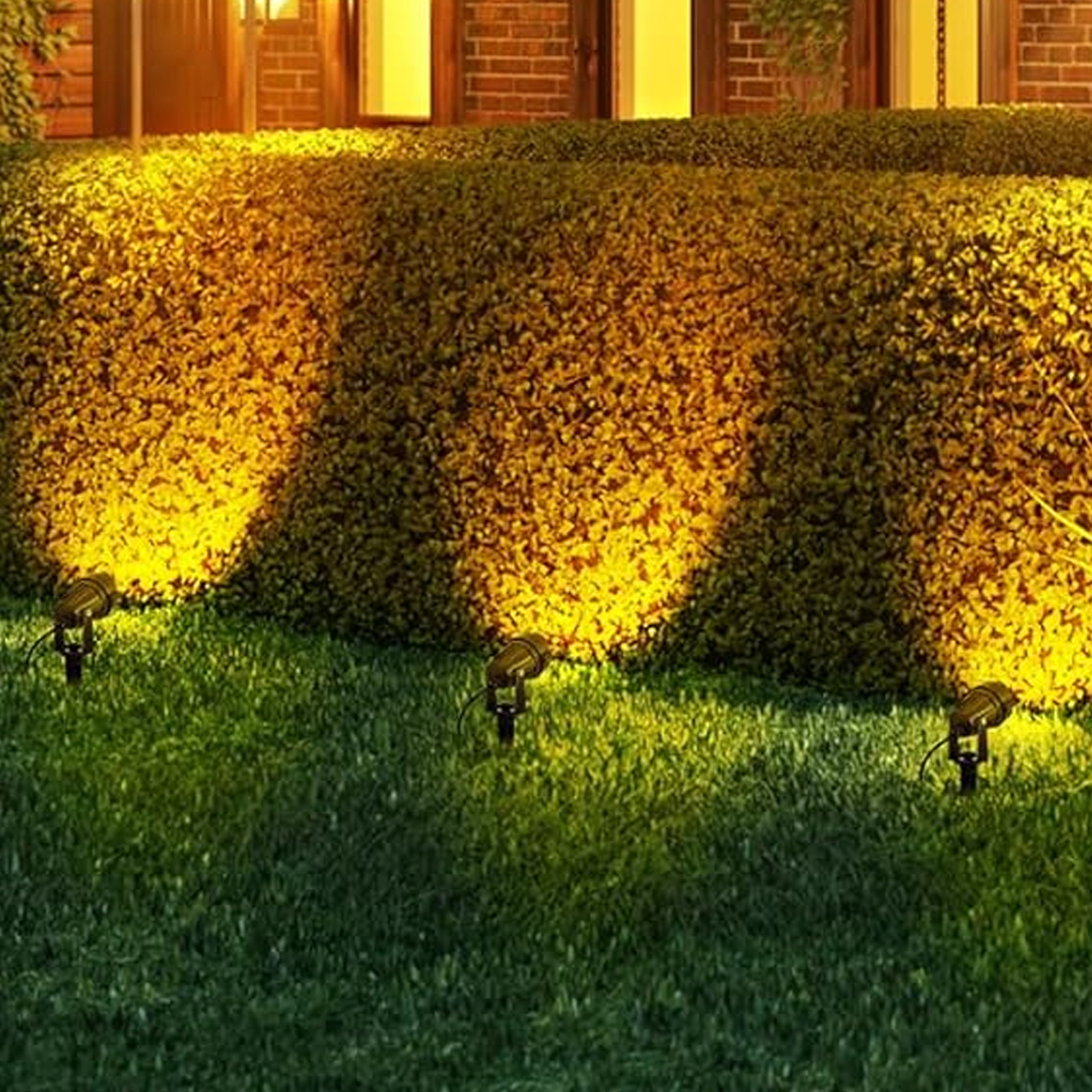Drei Strahler beleuchten einen grünen Rasen und eine Hecke. Warmer Lichteffekt.