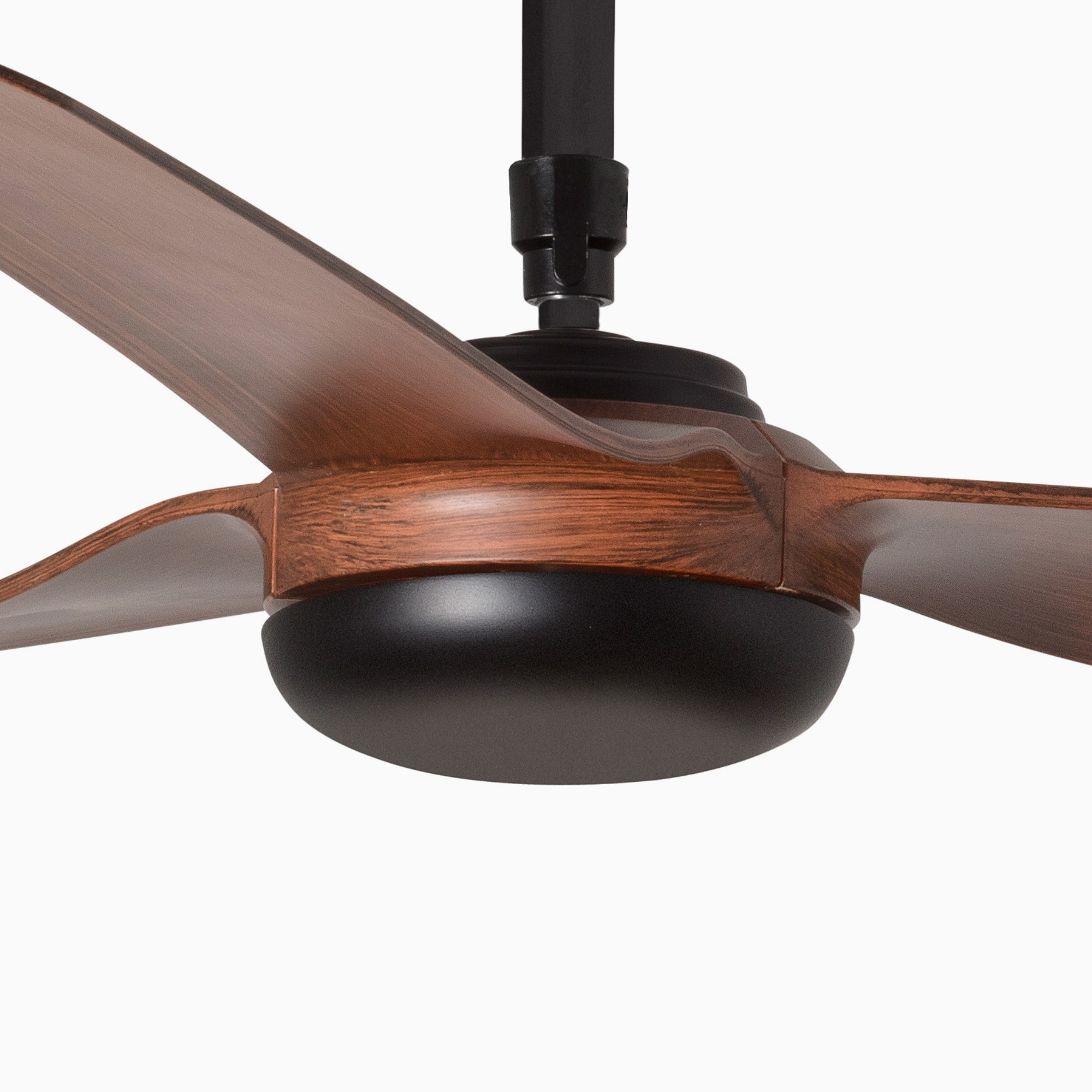 Primo piano del motore e delle pale di un ventilatore a soffitto, rame e nero. Sfondo bianco.