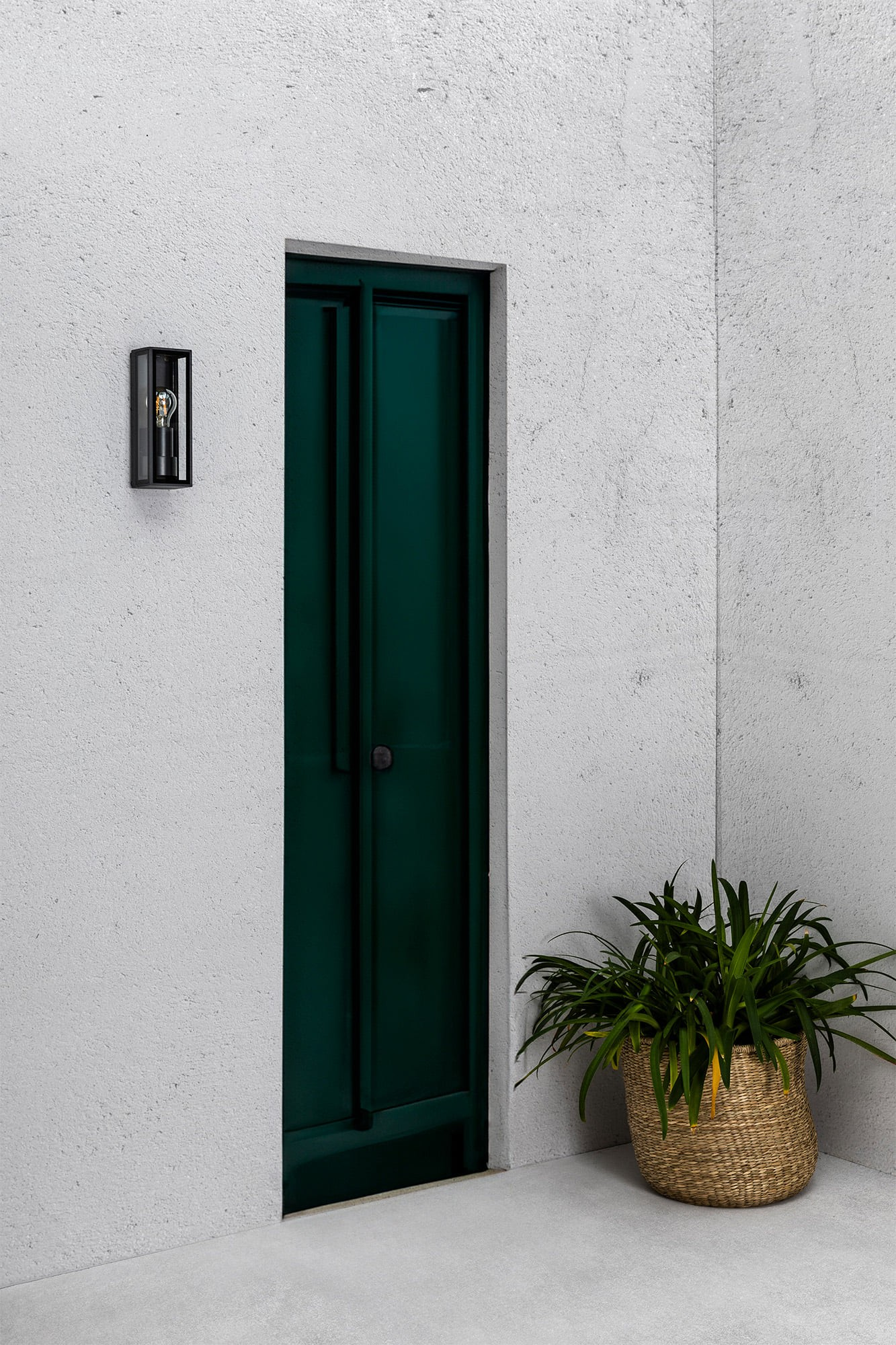 Grüne Tür in weißer Wand. Schwarze Lampe links, Pflanze im Korb rechts.