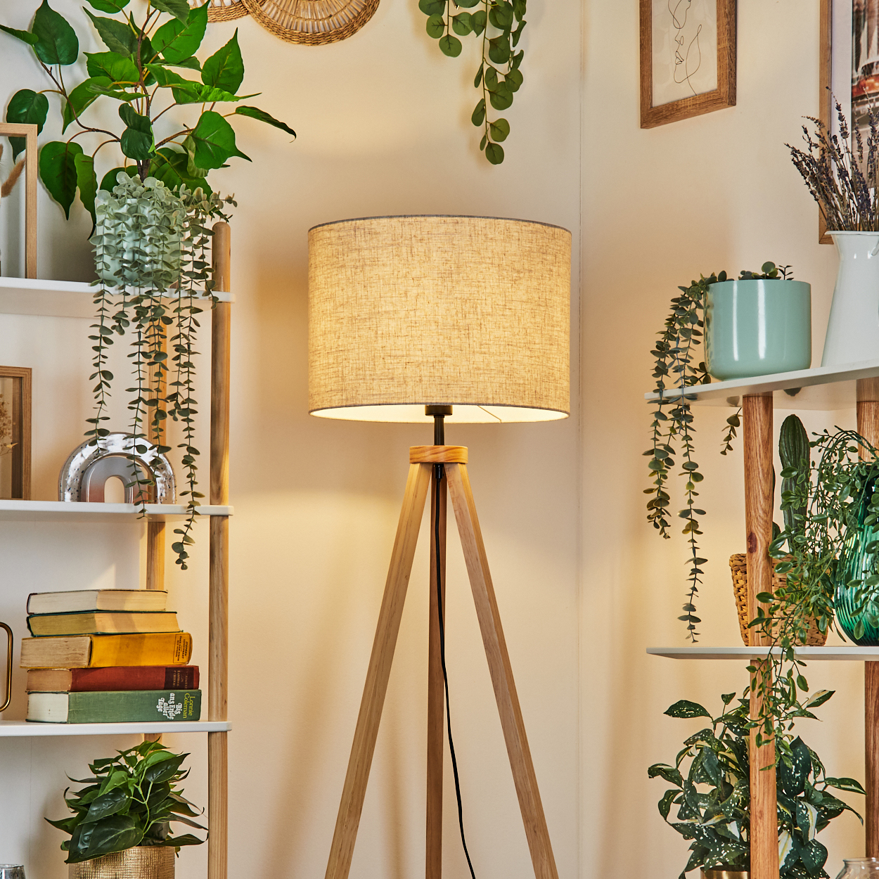 Eine Stehlampe mit hellfarbenem Lampenschirm, umgeben von Regalen und Pflanzen, beleuchtet.