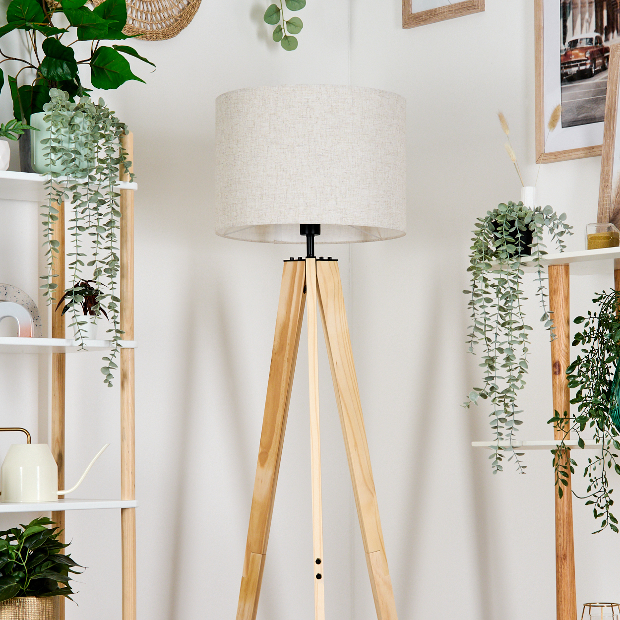 Eine Stehlampe mit hellfarbenem Lampenschirm, umgeben von Regalen und Pflanzen.