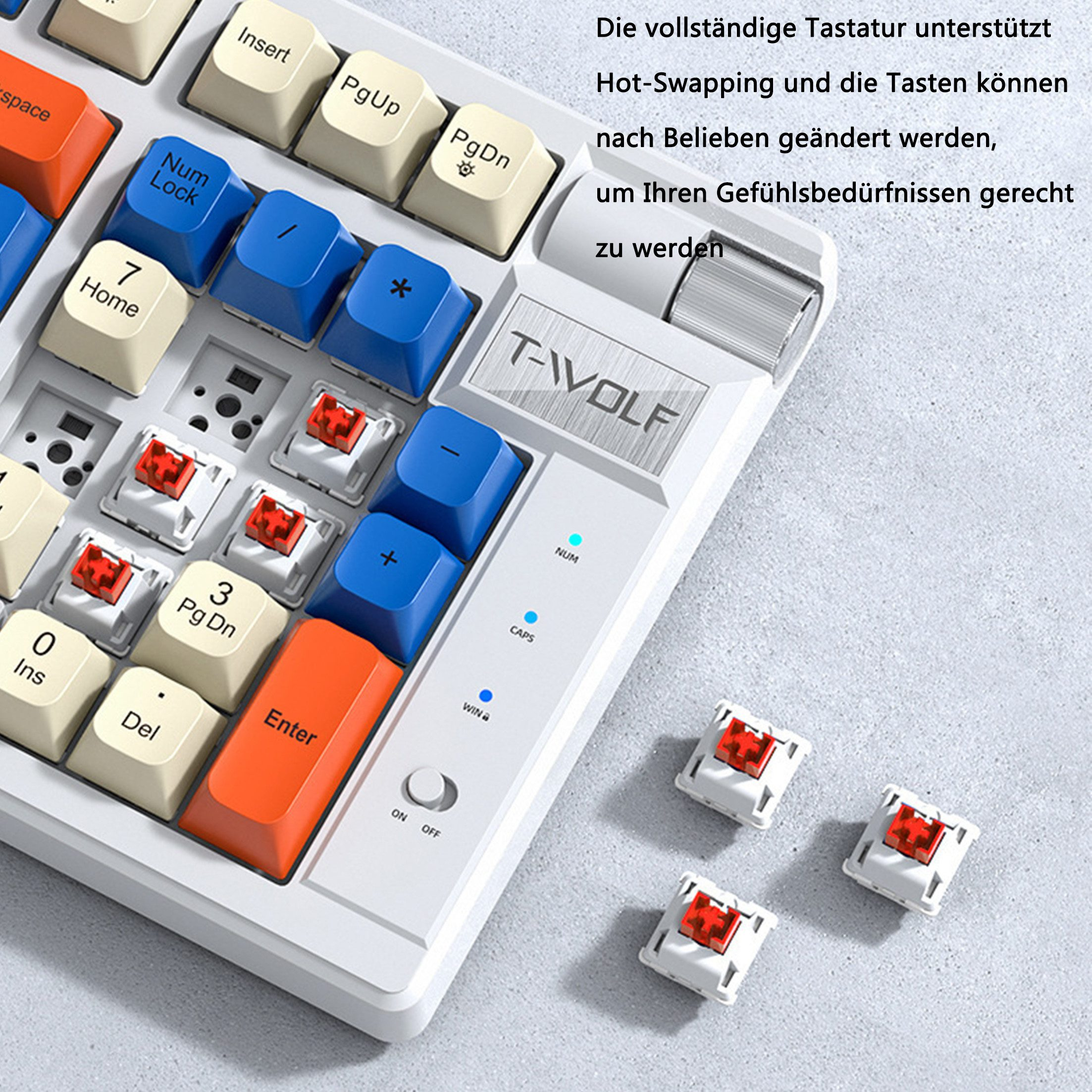 Tastatur mit Nahaufnahme der Tasten und Schalter. Einige Tasten sind abnehmbar.