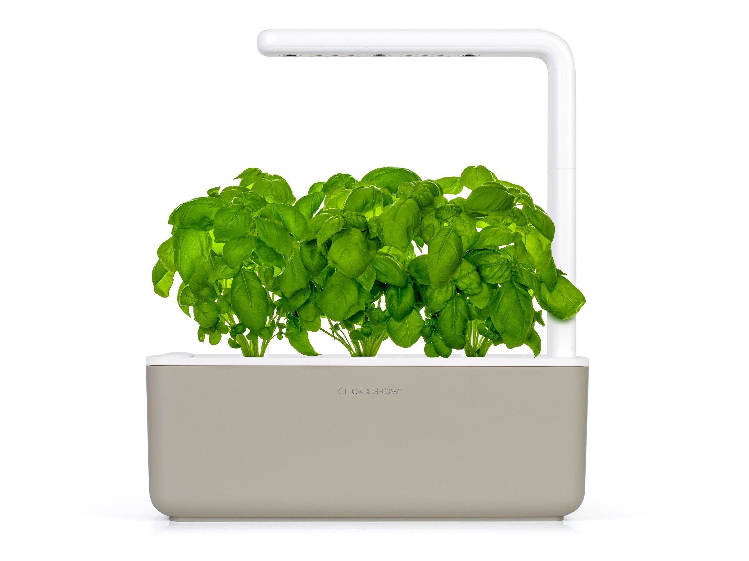 Un orto intelligente Click & Grow con piante di basilico verde. Sfondo bianco. Base grigia, luce bianca.