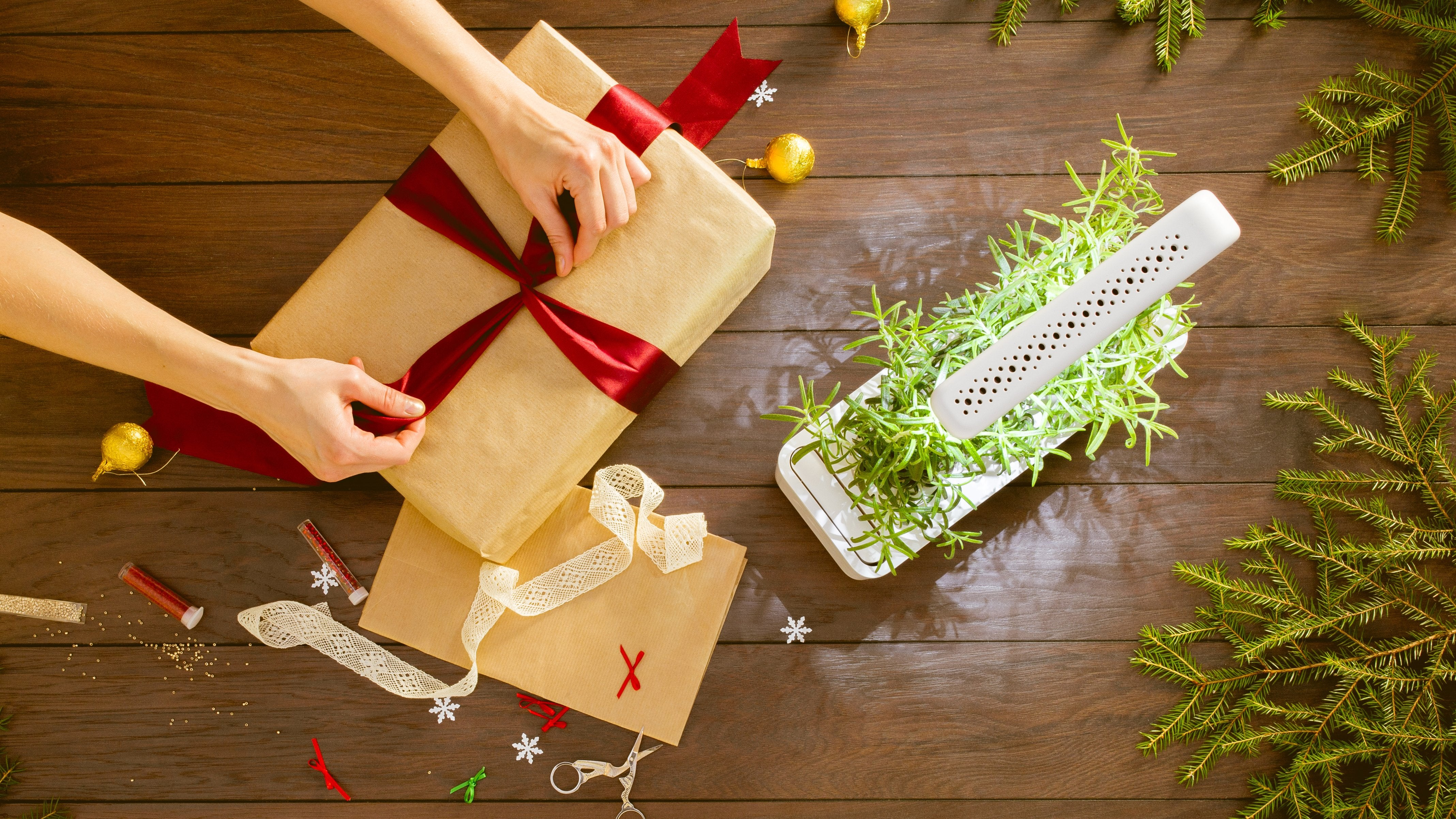Mani che legano un nastro su un regalo marrone. Una pianta e decorazioni natalizie sul tavolo.