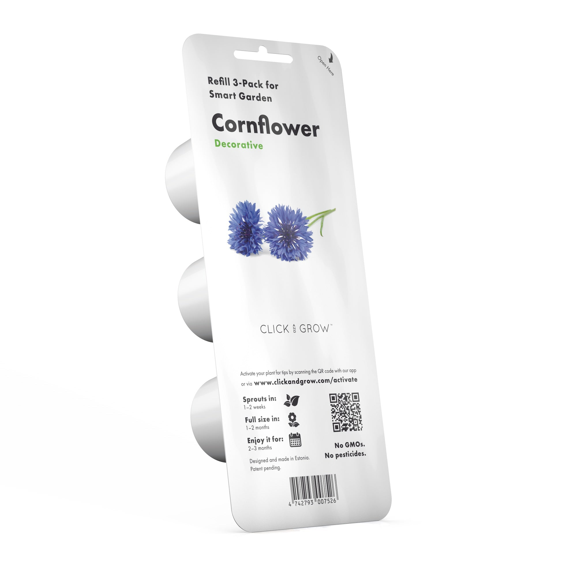 Recharge de plantes de bleuet. Fond blanc. Contient des informations sur la plante.