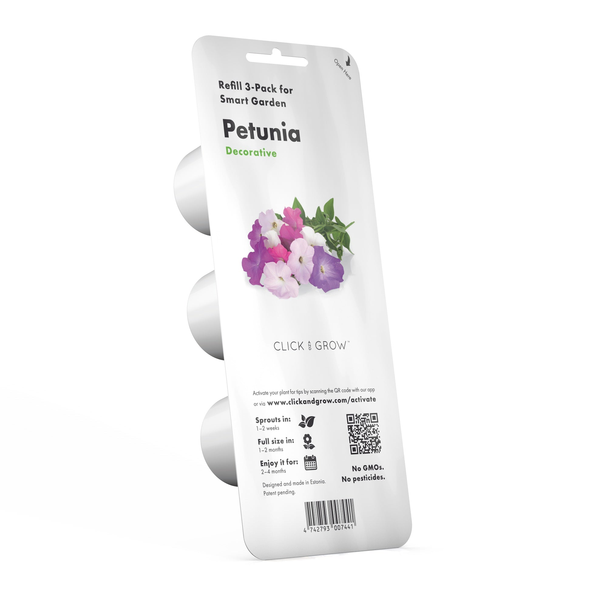 Recharge de plantes de pétunia. Fond blanc. Contient des informations sur la plante.
