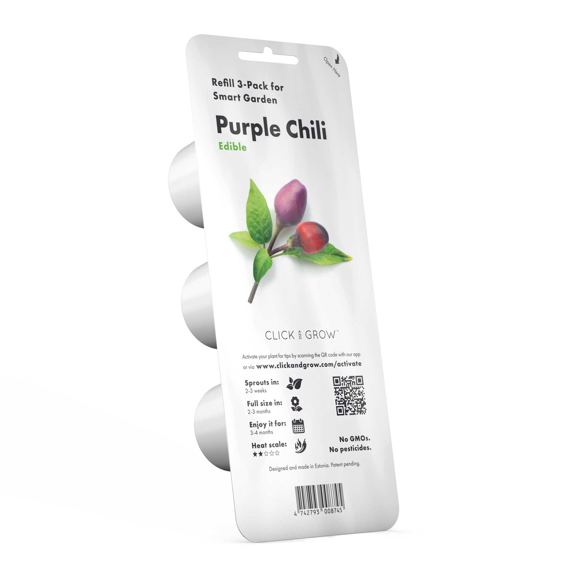 Recharge de plantes de piment violet. Fond blanc. Contient des informations sur la plante.