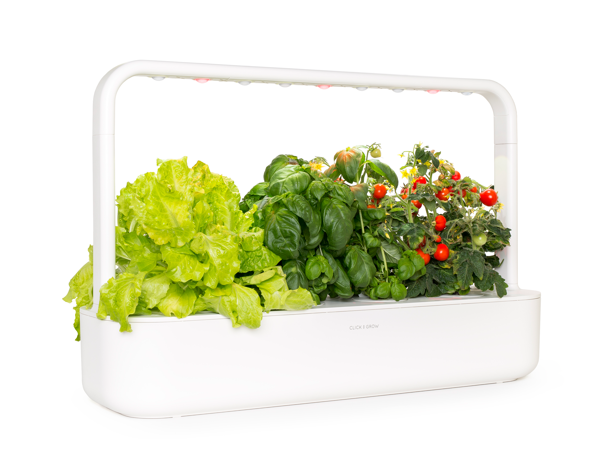 Un giardino intelligente Click & Grow bianco. Lattuga, basilico e pomodori in crescita. Luce bianca sopra.