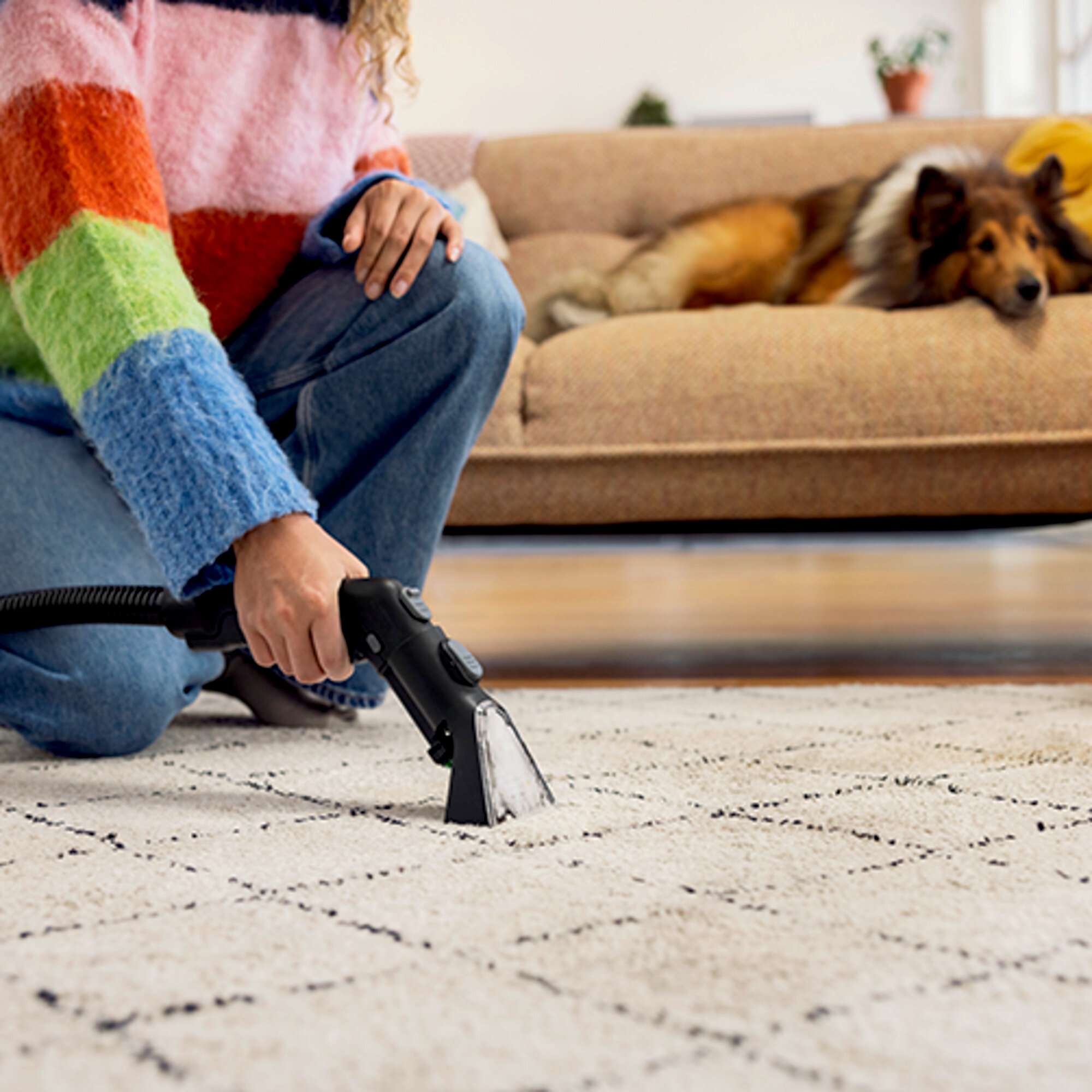 Une femme s'agenouille et utilise un outil de nettoyage sur un tapis. Un chien est couché sur un canapé en arrière-plan.