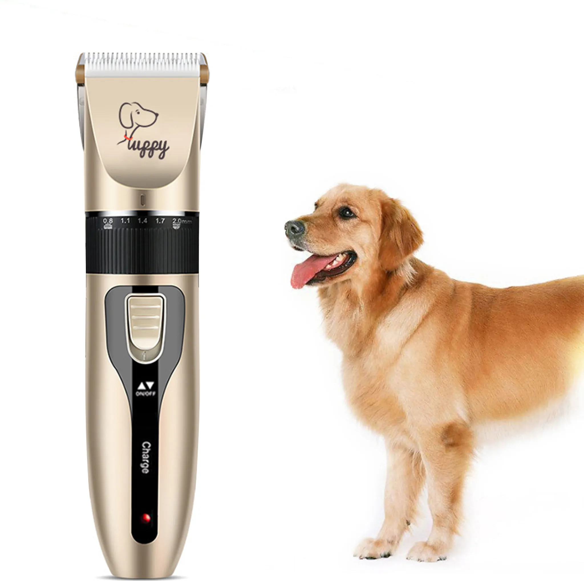 Hunde-Pflegegerät und Golden Retriever auf weißem Hintergrund.