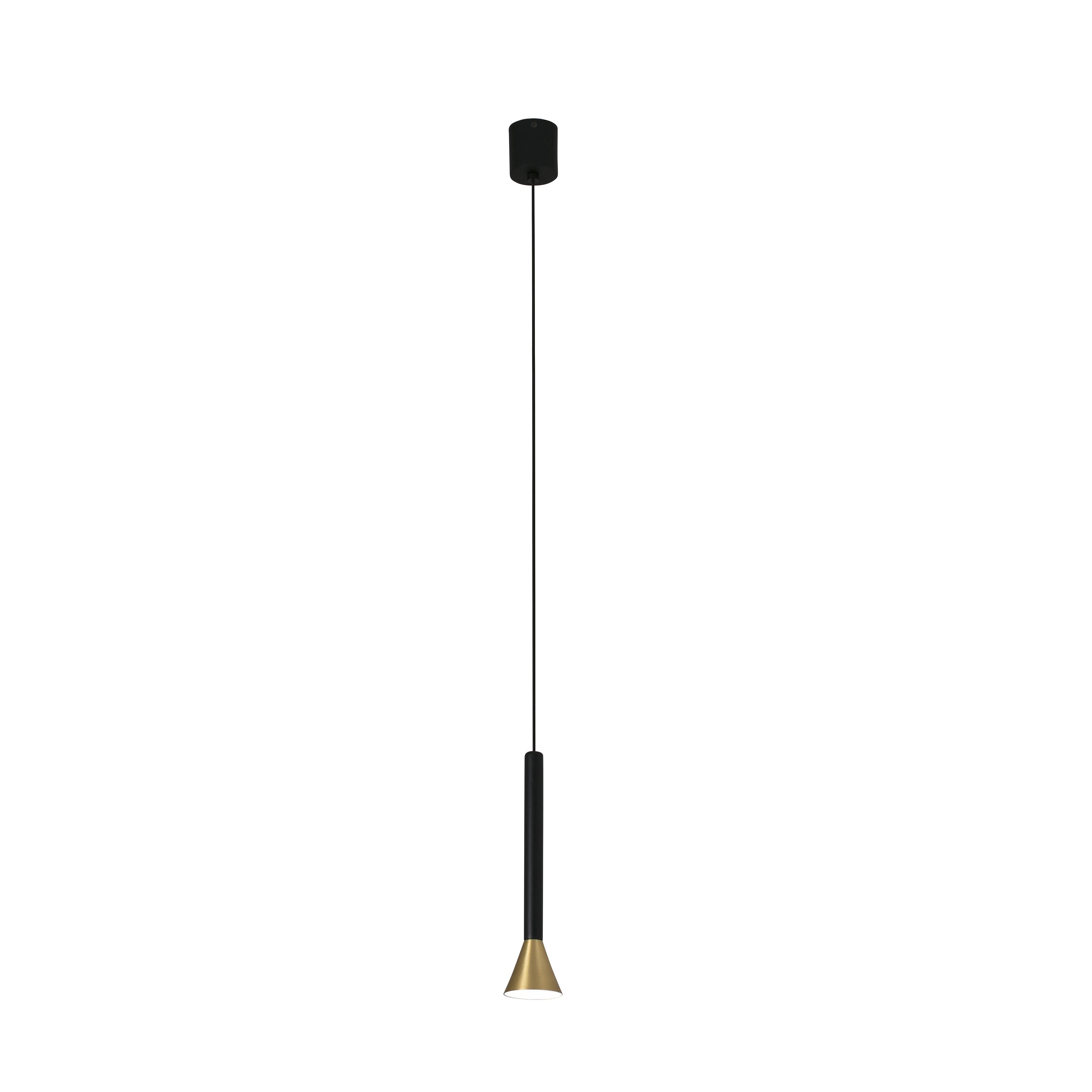 Una lampada a sospensione nera e ottone appesa al soffitto.