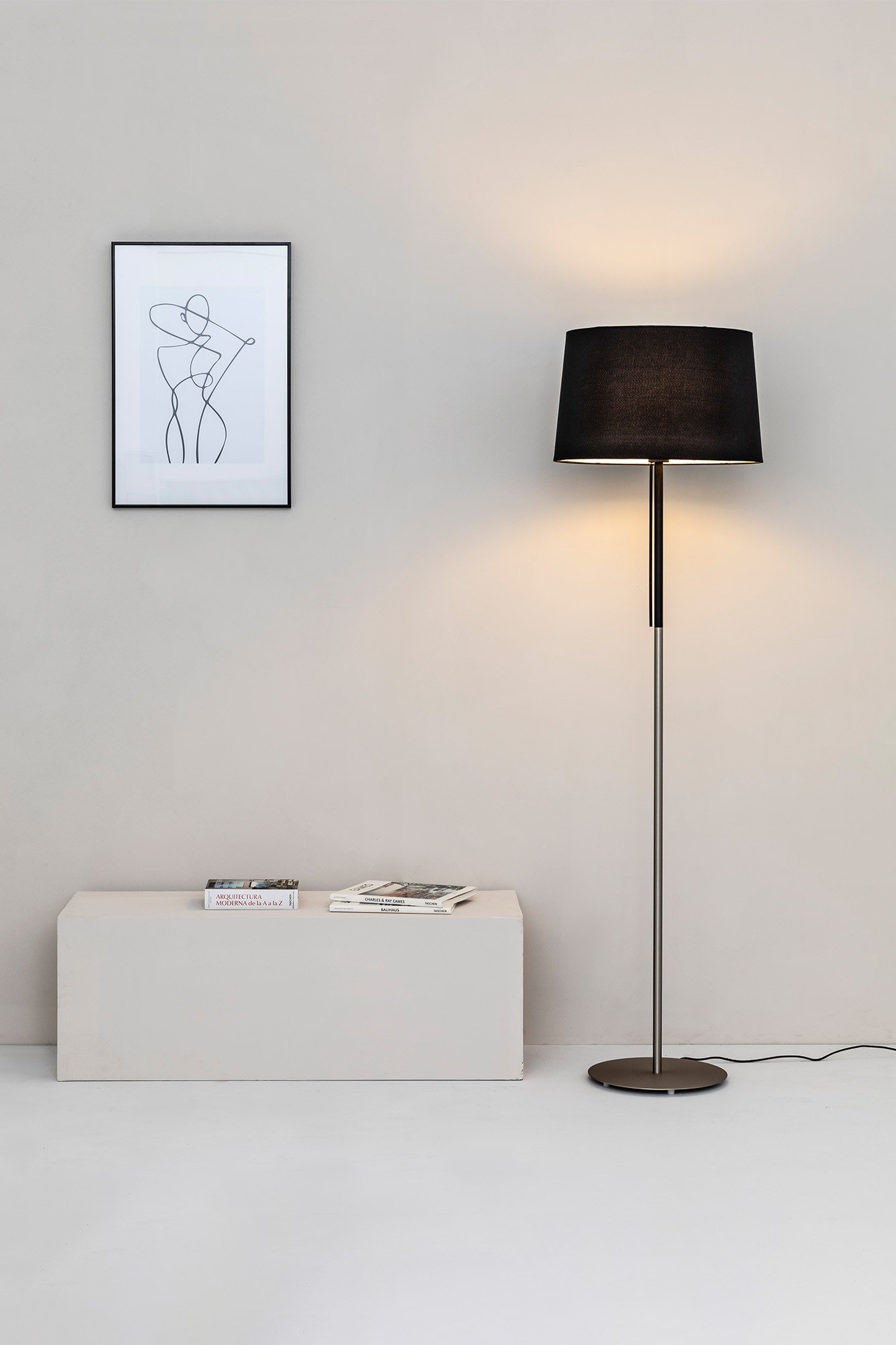 Lampada da terra e una piccola panca bianca. Un quadro sul muro e riviste sulla panca.