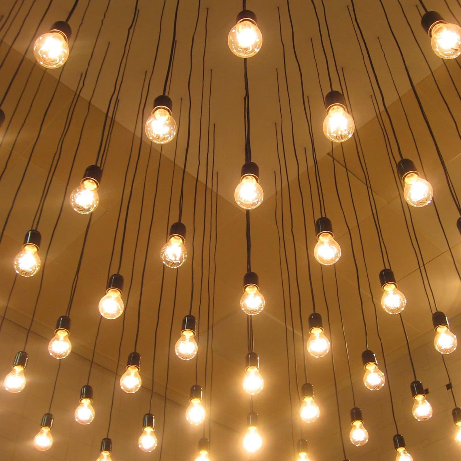 Wiele wiszących żarówek pod sufitem, tworzących ciepłą i przyjazną atmosferę.