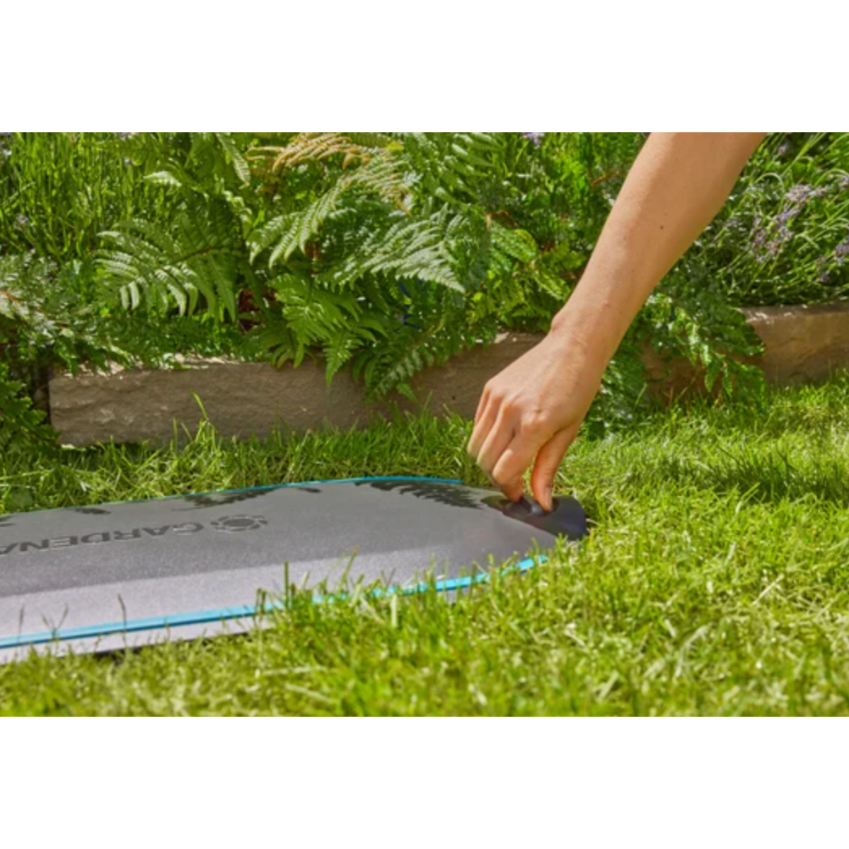 Mano che regola un impianto di irrigazione in un giardino con erba verde.