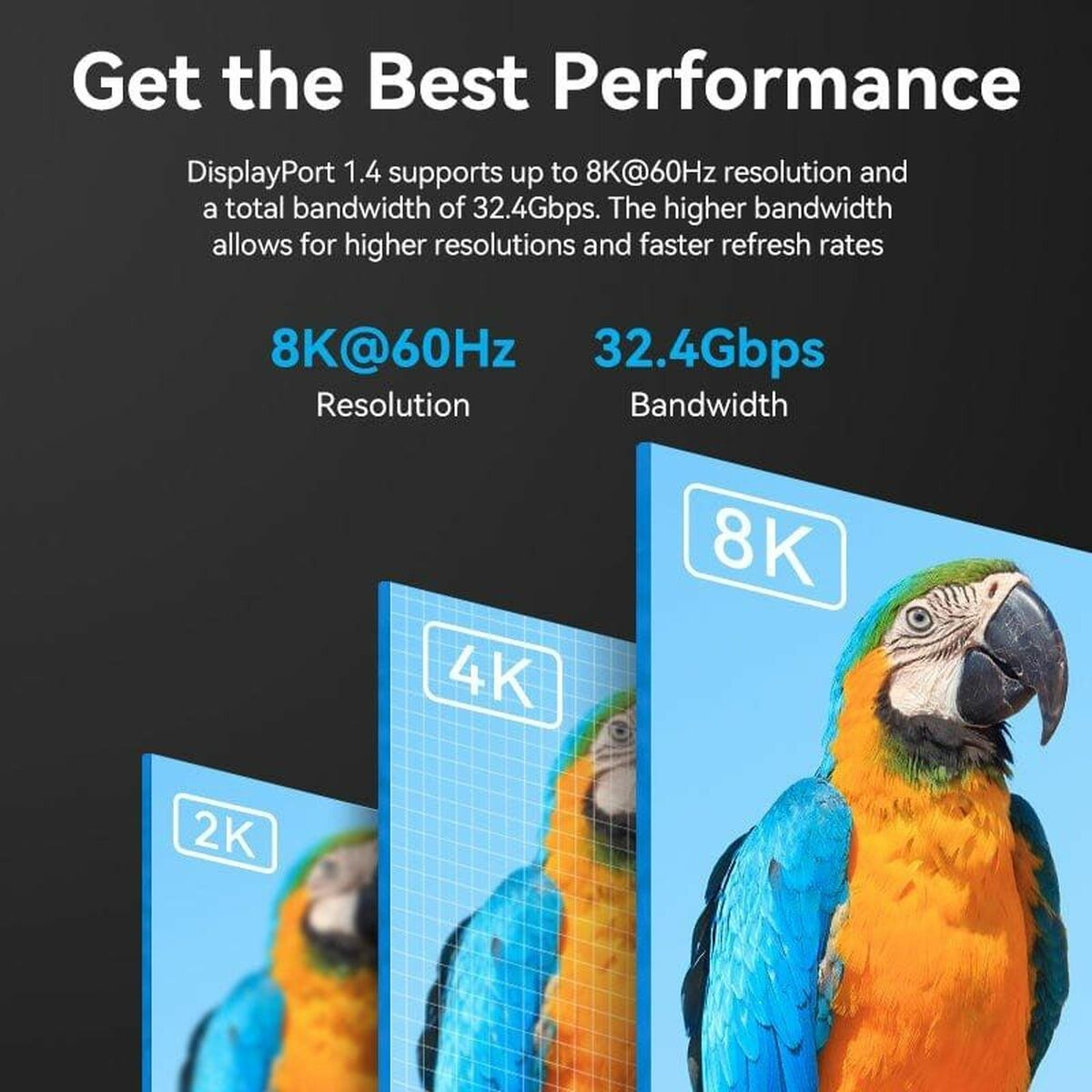 Testo e immagine con confronto risoluzione e larghezza di banda. Un pappagallo a destra, con display 2K, 4K e 8K.