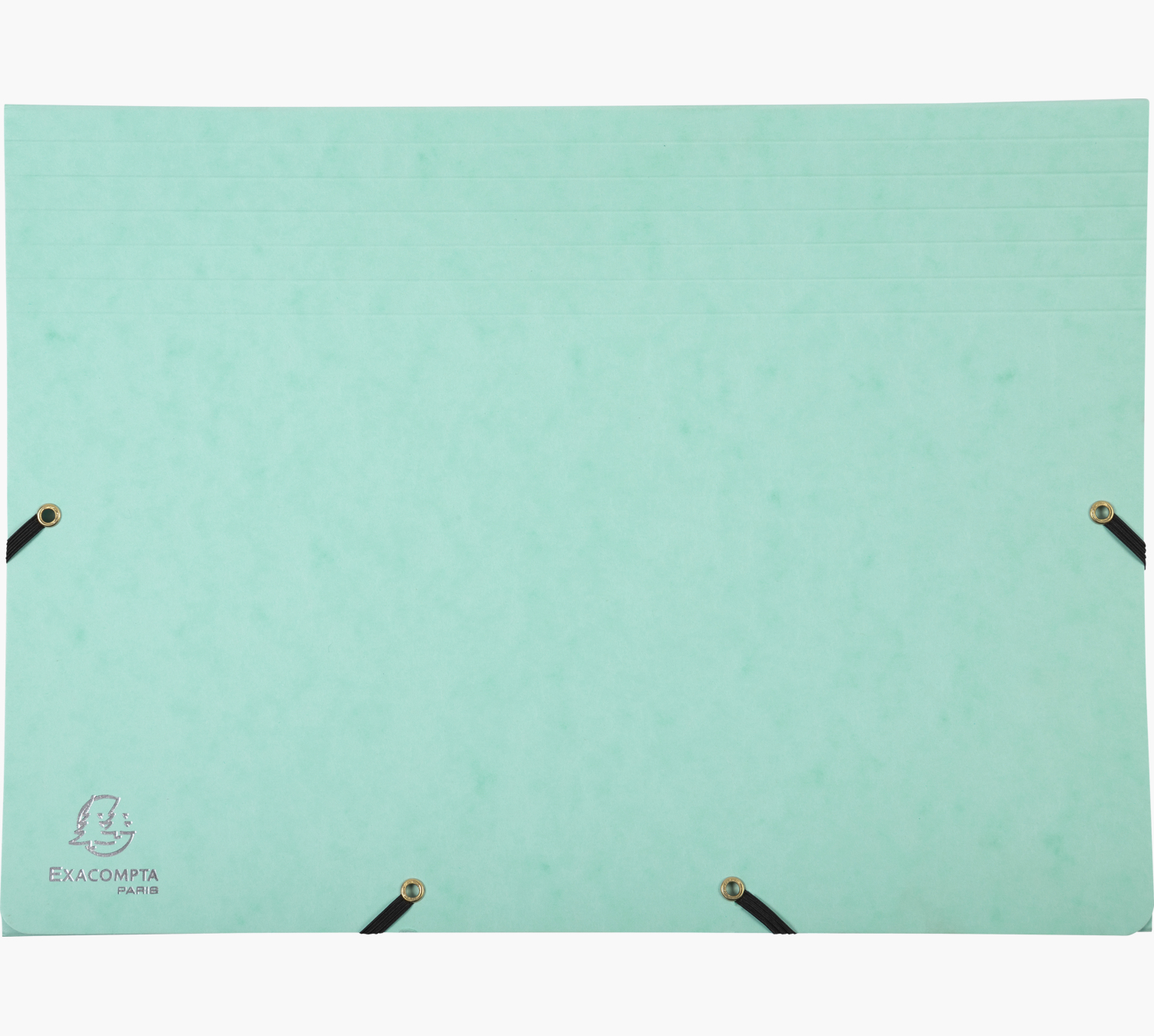 Zielona teczka z czarnymi gumkami i złotymi oczkami. Logo EXACOMPTA PARIS.