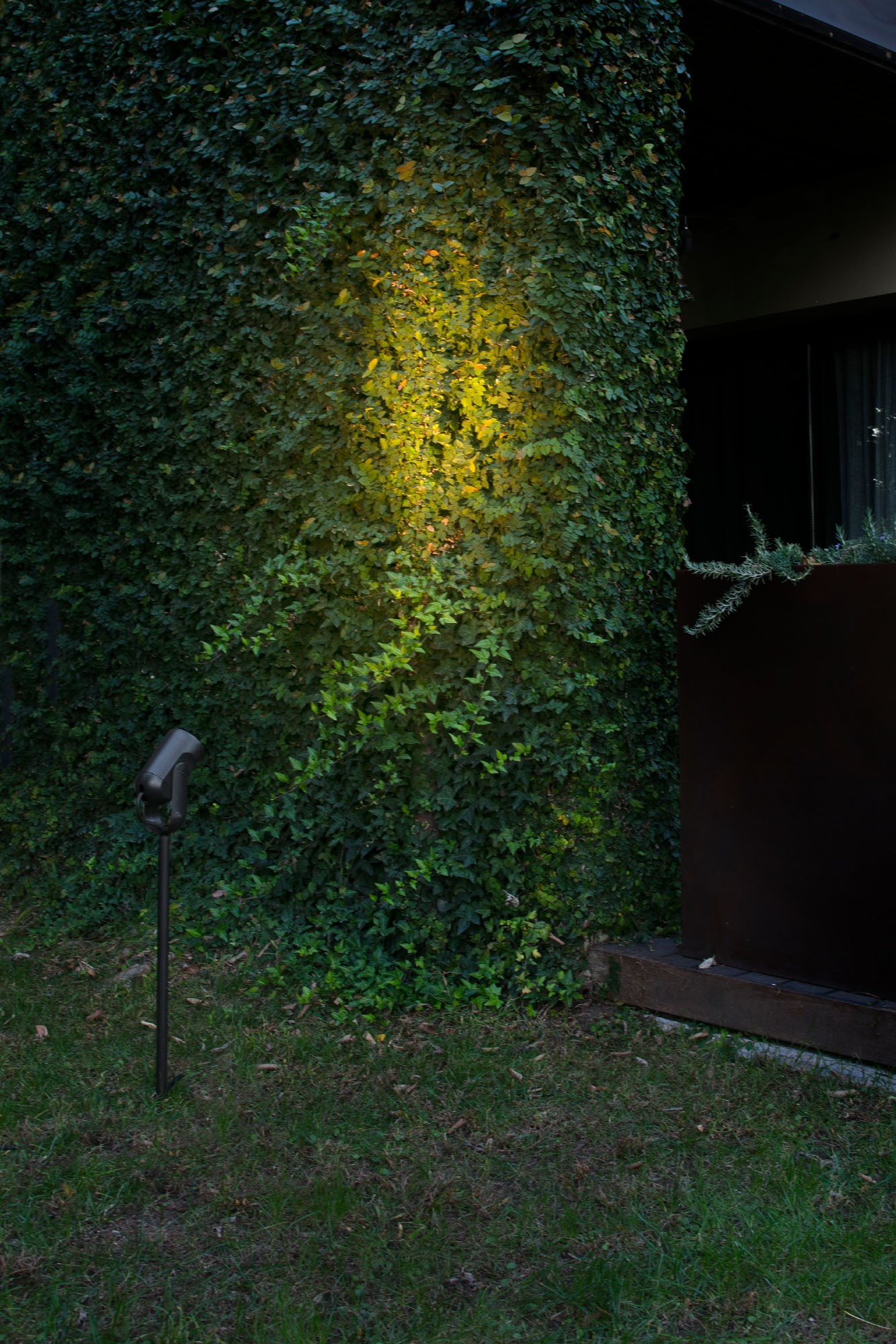 Un faretto per esterni illumina il fogliame verde su un muro.