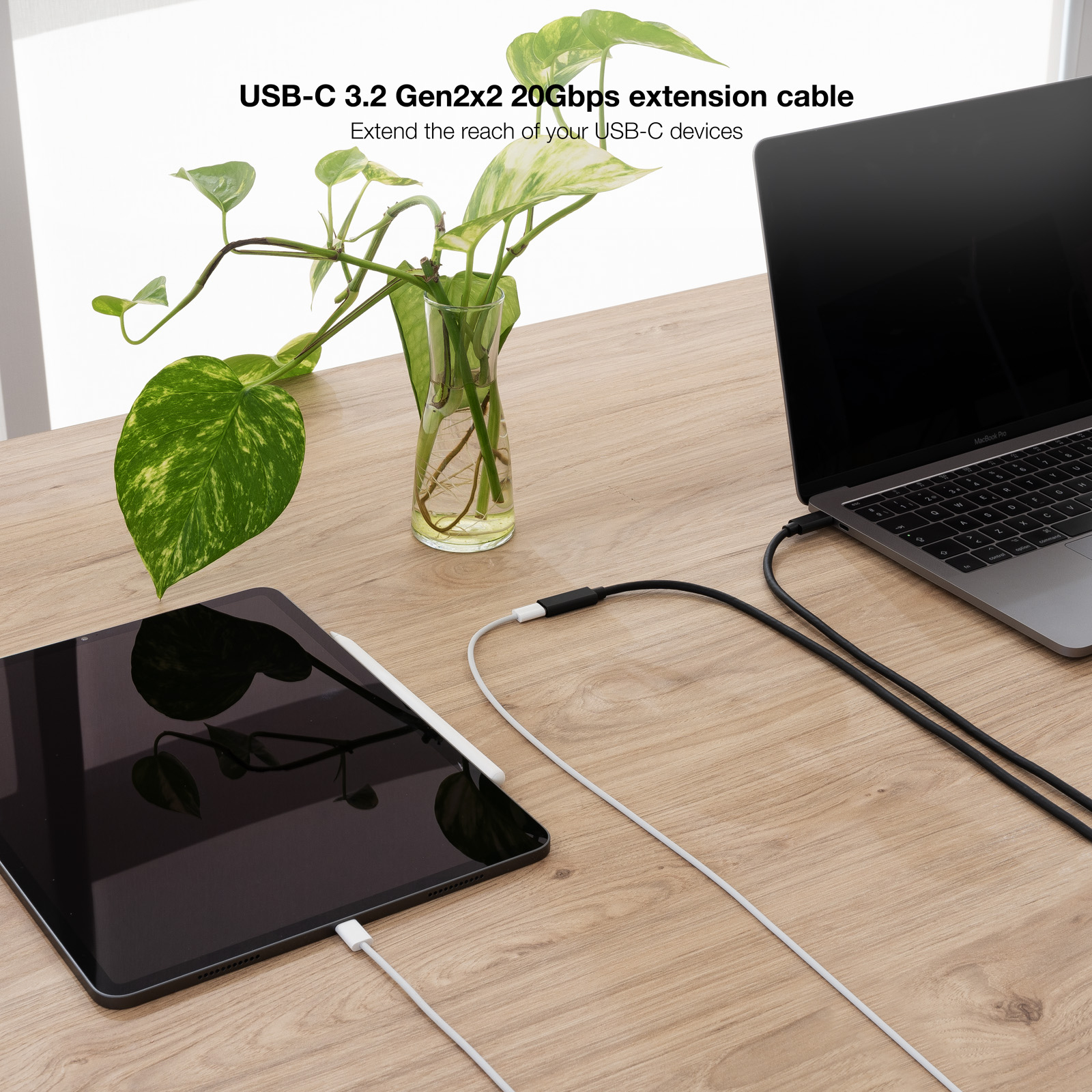 Una scrivania con un laptop e un tablet collegati tramite un cavo USB-C. Un vaso con una pianta è sulla scrivania.