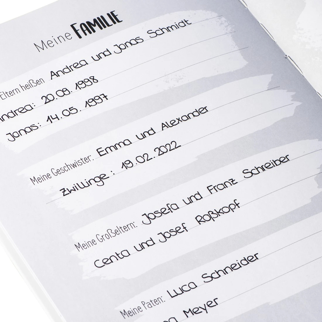 Otwarta strona książki, pismo ręczne w szarych polach, szczegóły rodziny.