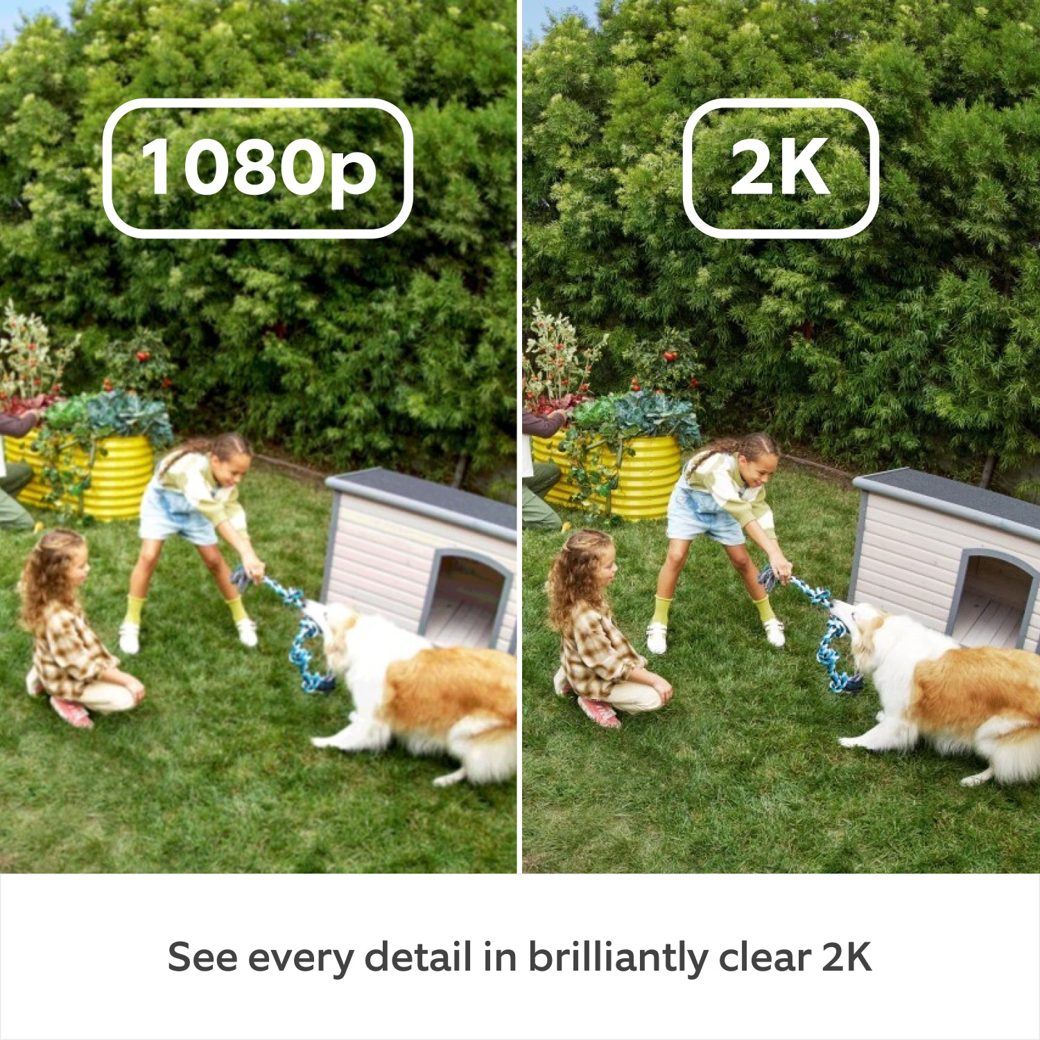Dos imágenes lado a lado que muestran a un perro y niños jugando en la hierba. Resolución 1080p vs 2k.