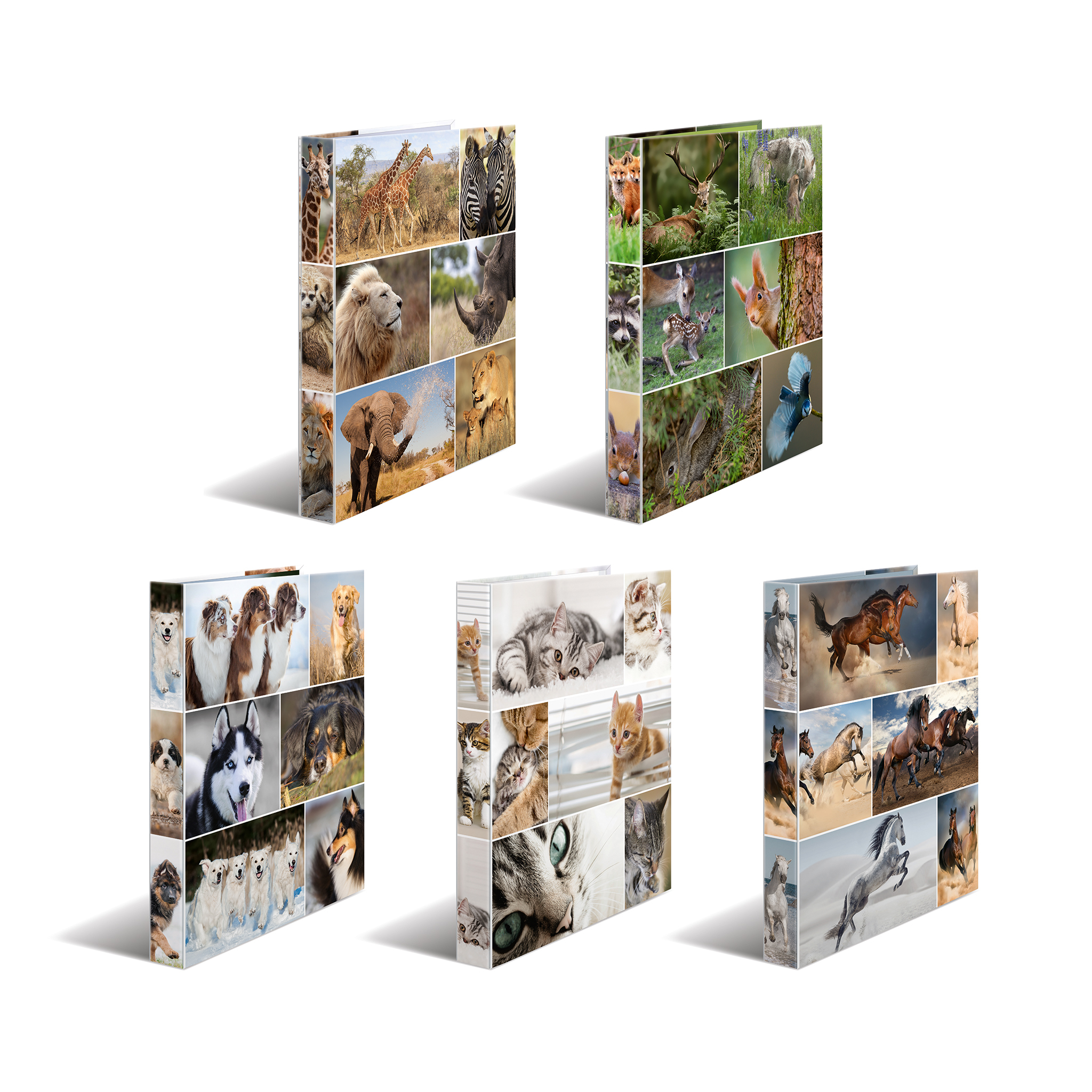Kolaż zdjęć zwierząt na półce. Zawiera lwy, żyrafy, zebry, słonie i małpy.