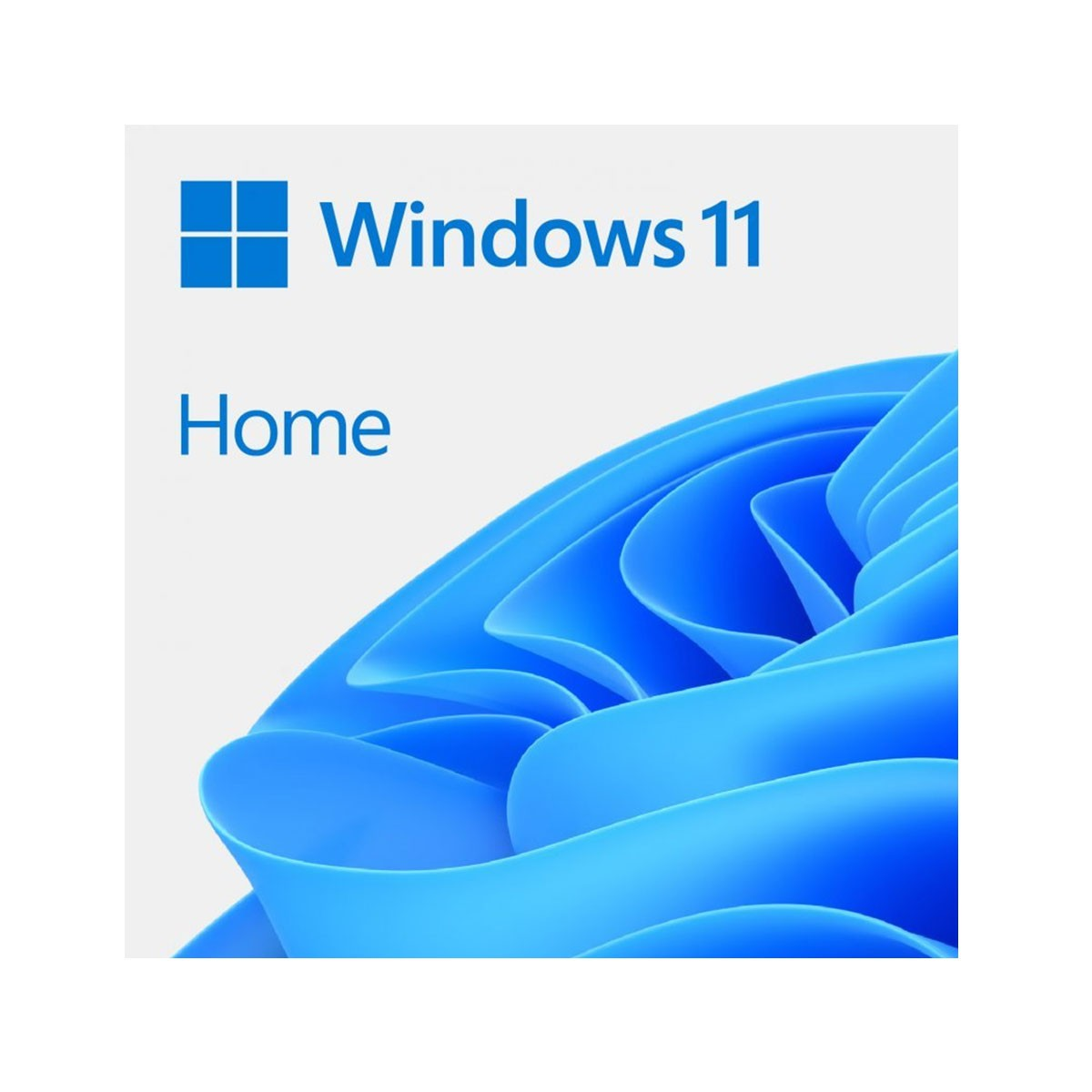 Logo di Windows 11 Home. Un logo blu su sfondo bianco.