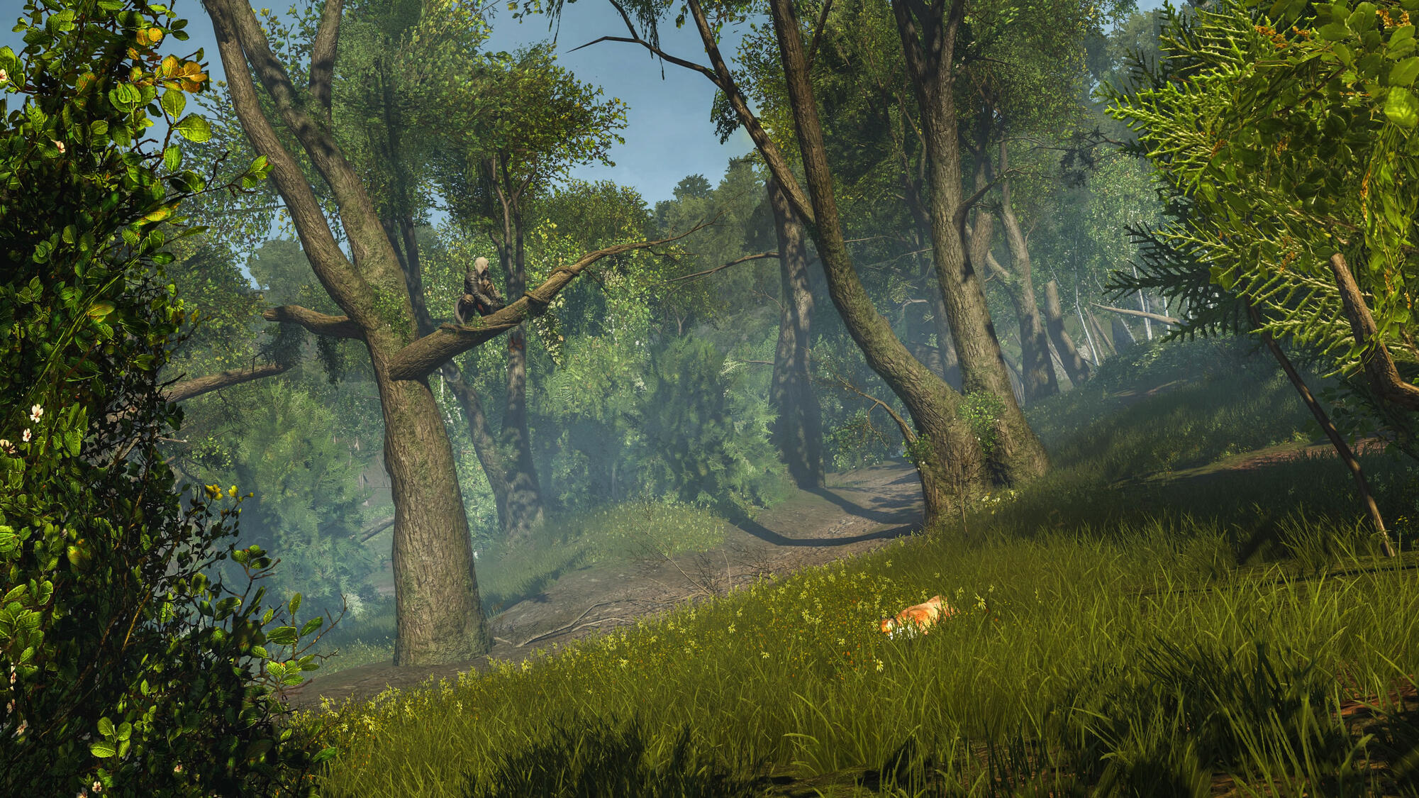 Scena leśna z osobą siedzącą na gałęzi drzewa.