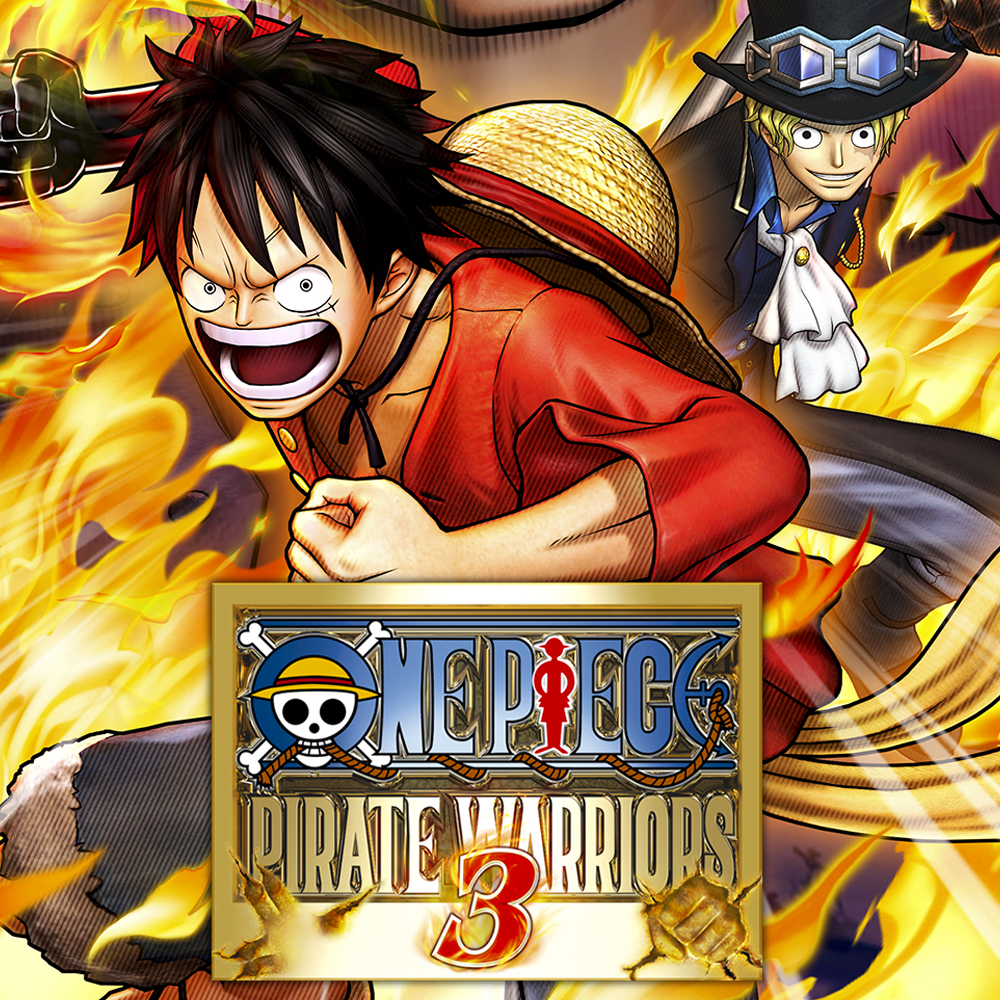 Okładka gry One Piece Pirate Warriors 3. Luffy i Sabo, ze złotym tytułem i ognistym tłem.