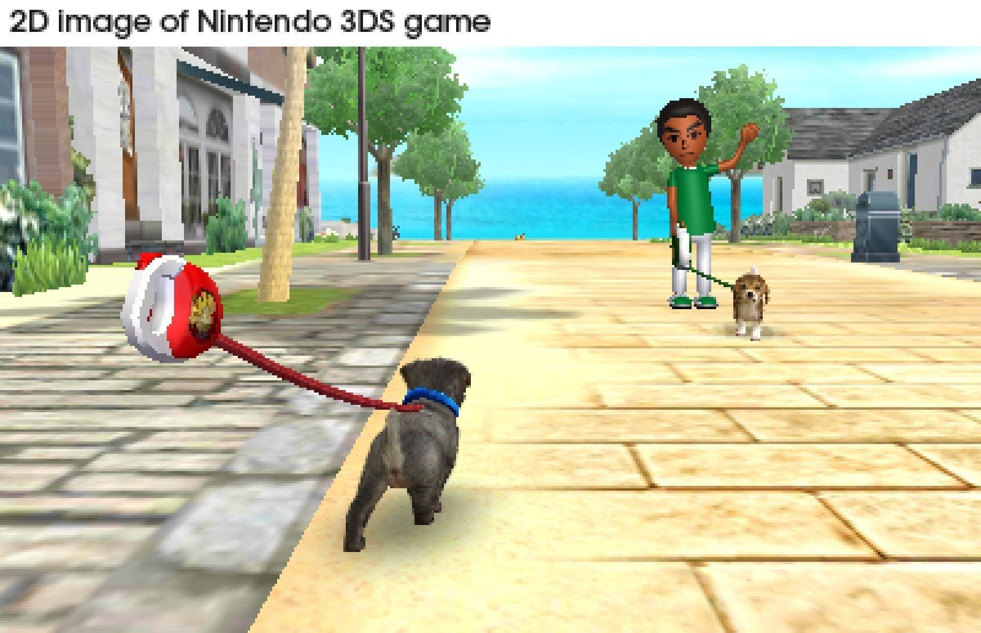 Una persona che porta a spasso due cani al guinzaglio in un gioco 3DS.