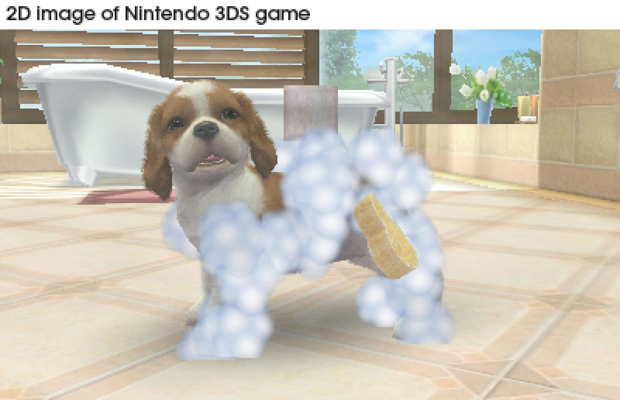 Un cane viene lavato in una vasca da bagno in un gioco 3DS.