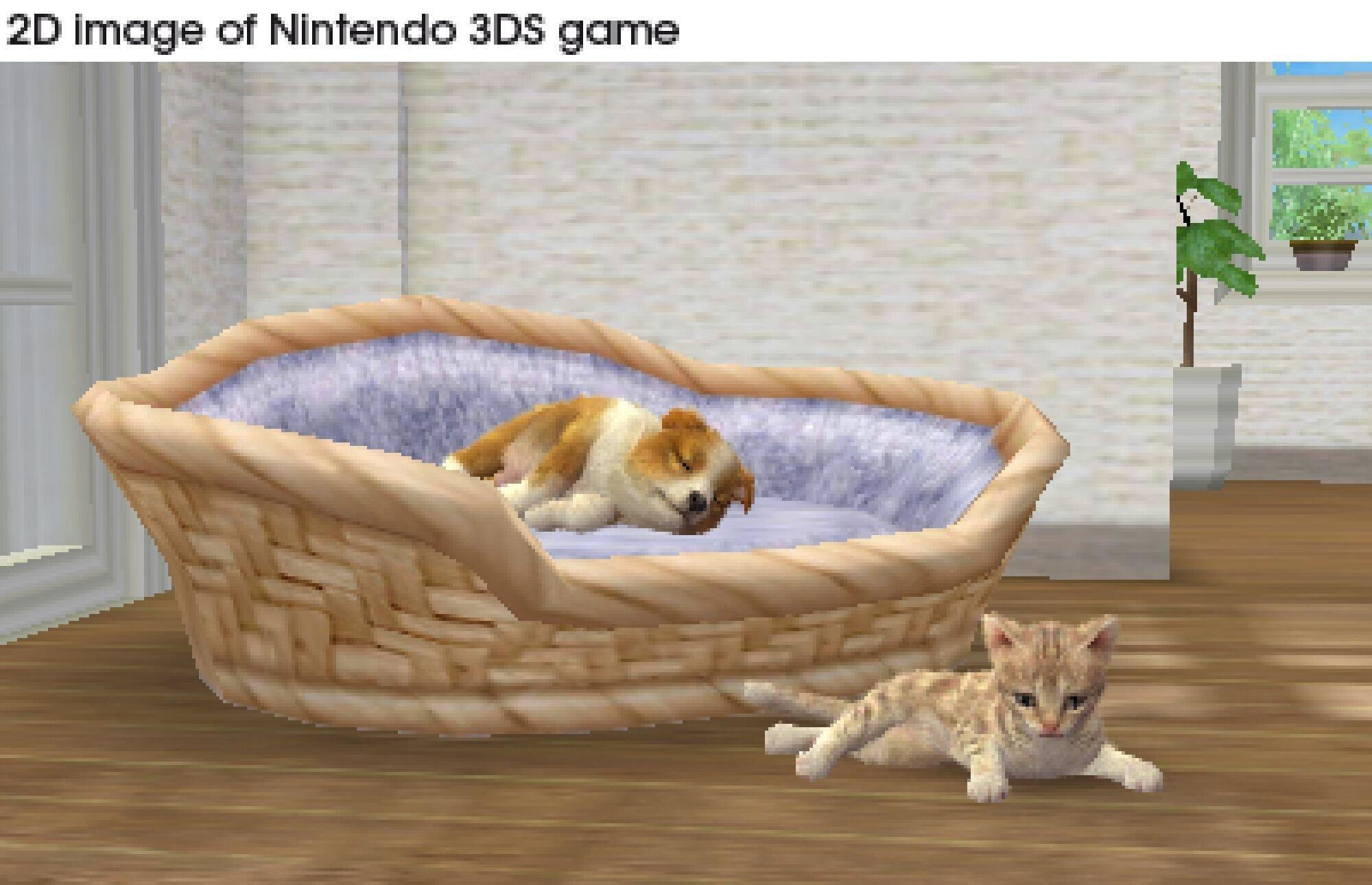Un cane e un gatto sono in un cestino in un gioco 3DS.