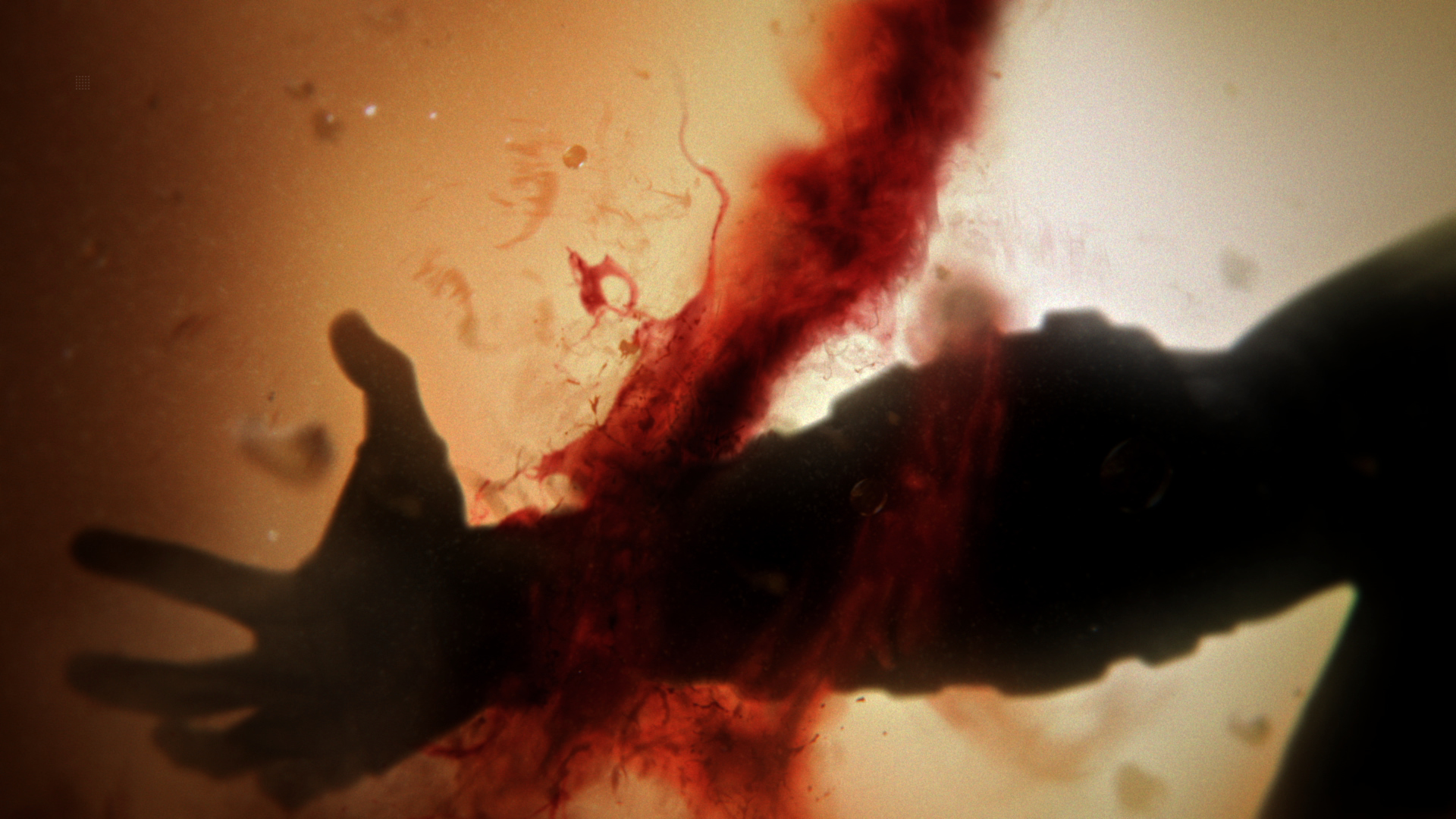 Wyciągnięta dłoń z wirującą czerwoną krwią na pomarańczowym tle.