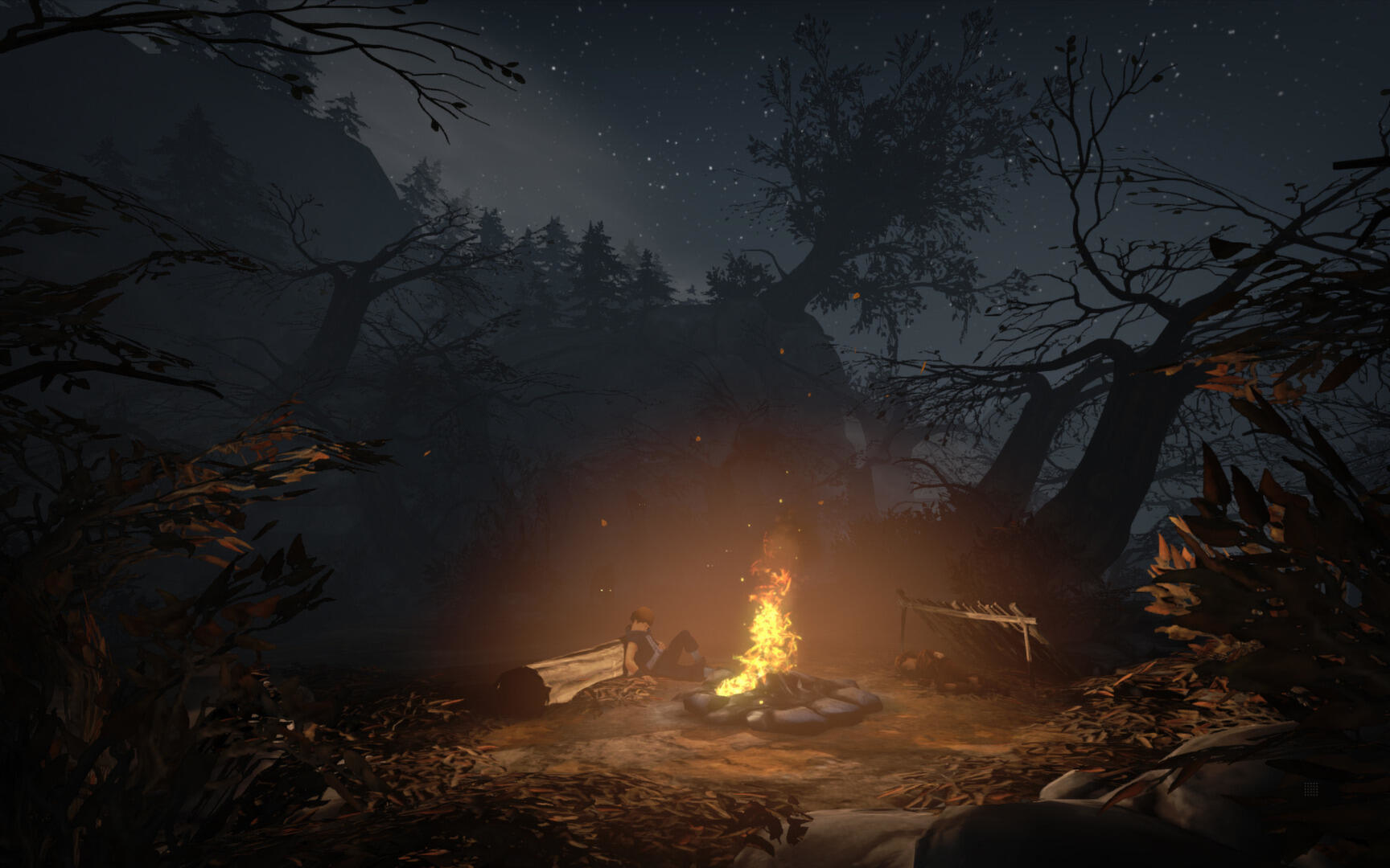 Una fogata arde de noche en un bosque, persona sentada cerca. Árboles oscuros y cielo estrellado visibles.