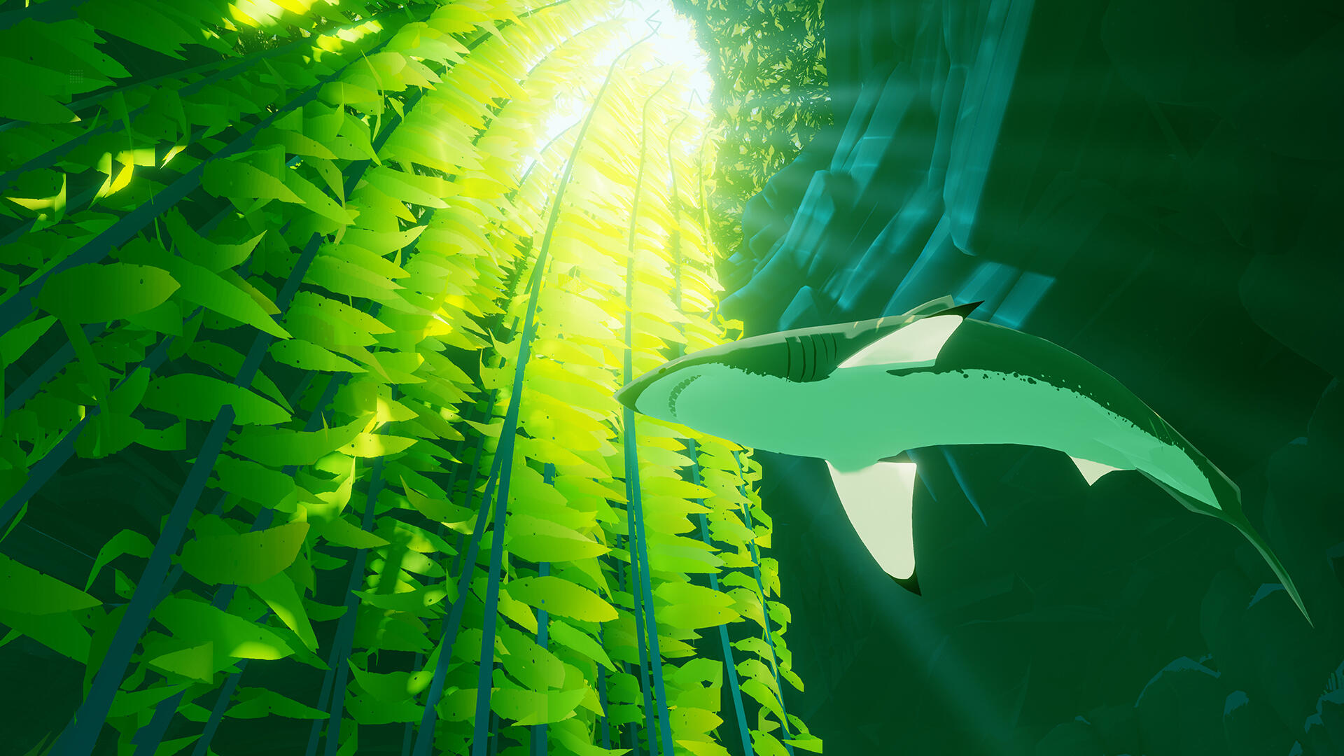 Eine Unterwasserszene mit einem Hai und einem Kelpwald. Sonnenlicht scheint herab.