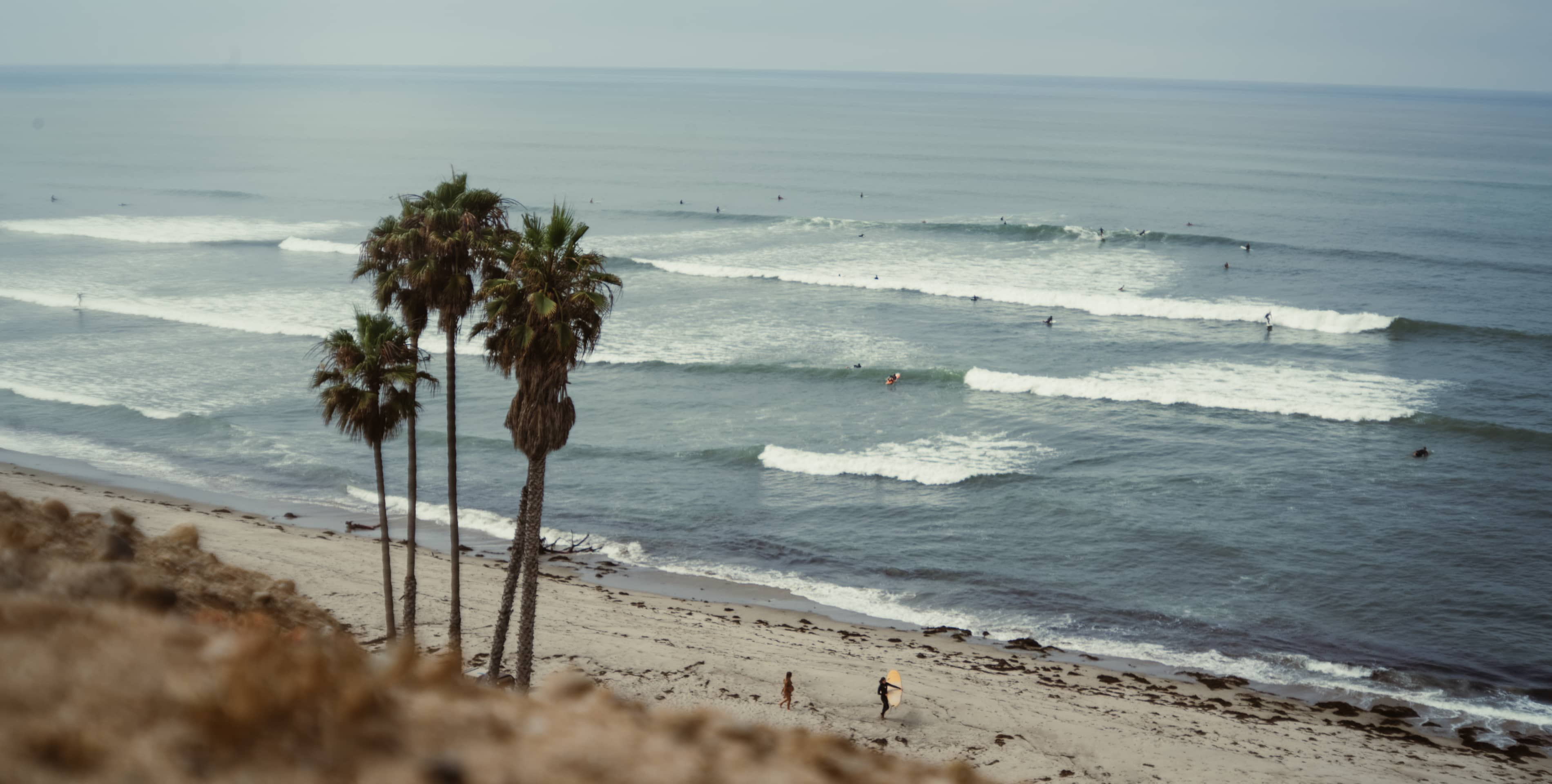 Palmy na plaży z nadpływającymi falami. Ludzie spacerują po plaży.