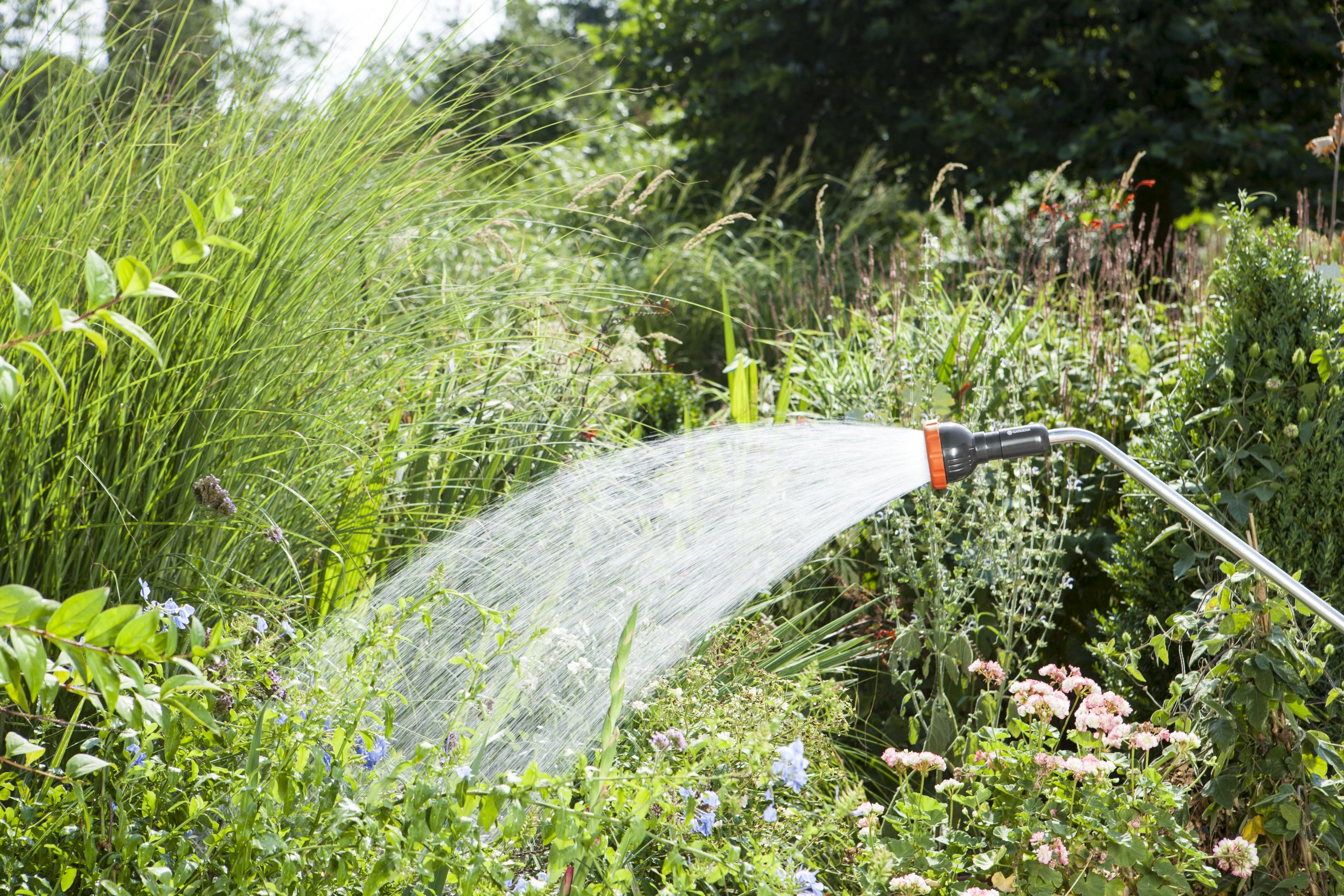 Wasser spritzt aus einem Schlauch auf Pflanzen in einem Garten.