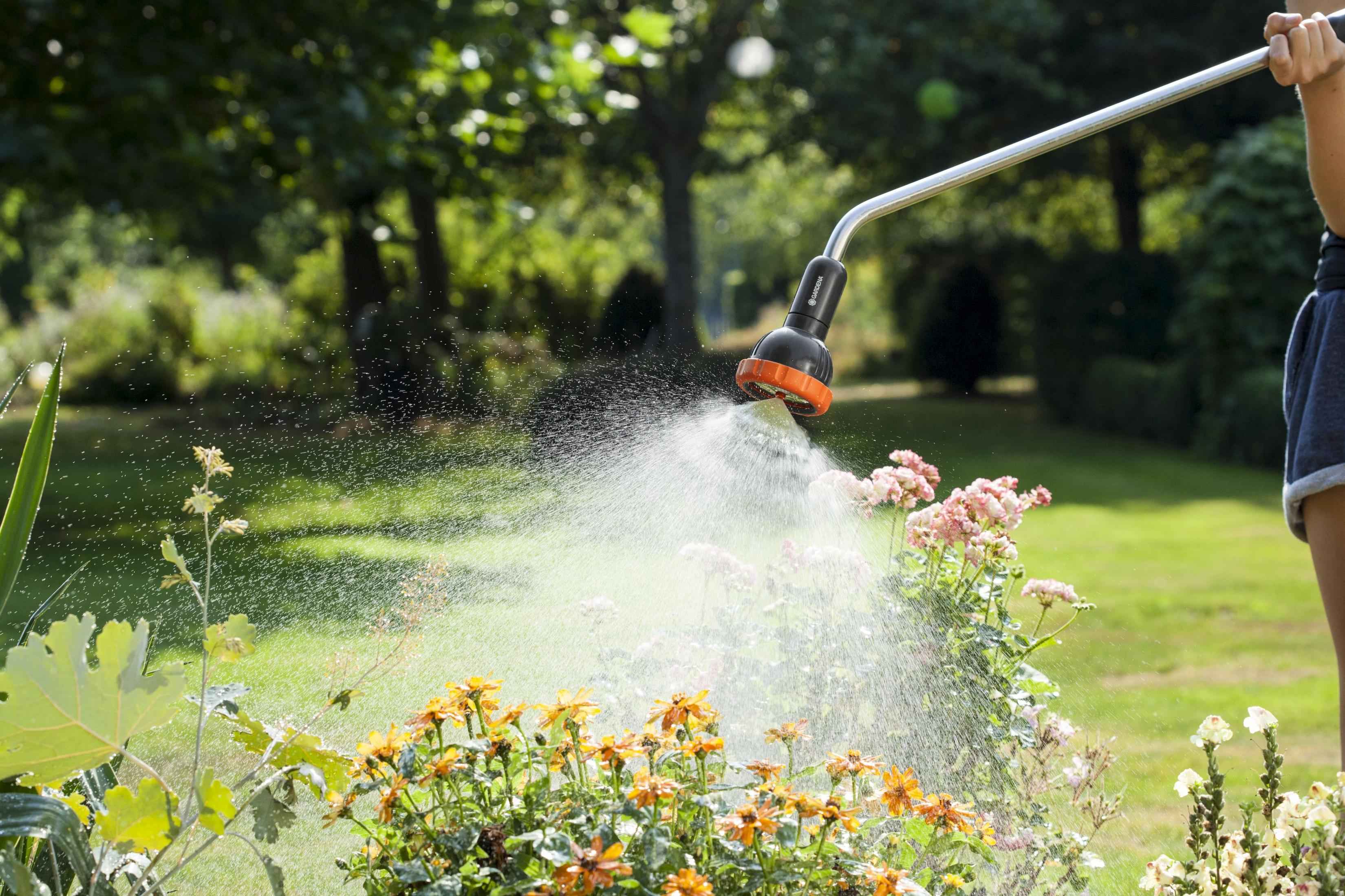 Eine Person sprüht Wasser aus einem Schlauch auf orangefarbene und rosa Blumen, mit grünem Gras im Hintergrund.