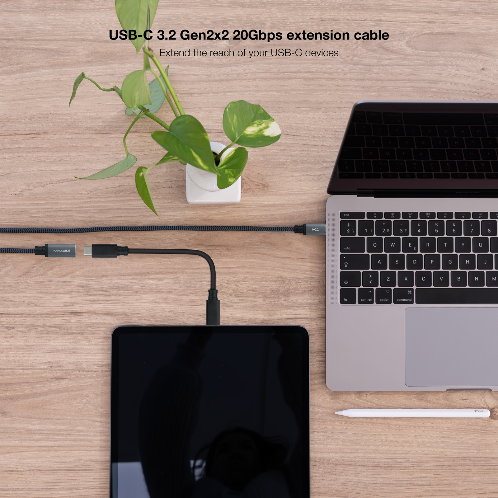 USB-C-kabel aangesloten op laptop en tablet. Groene plant en witte pen op houten oppervlak.